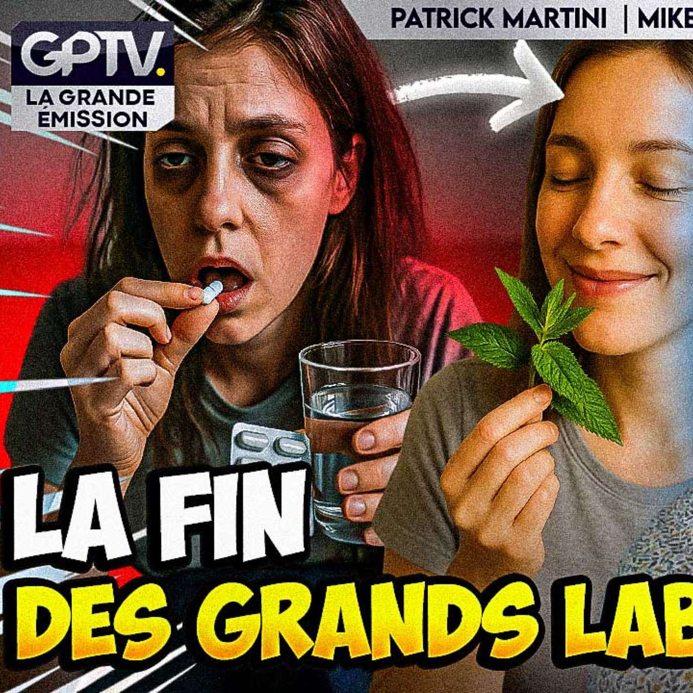 CONTRE BIG PHARMA LA GUÉRISON PAR LES PLANTES ? | GPTV