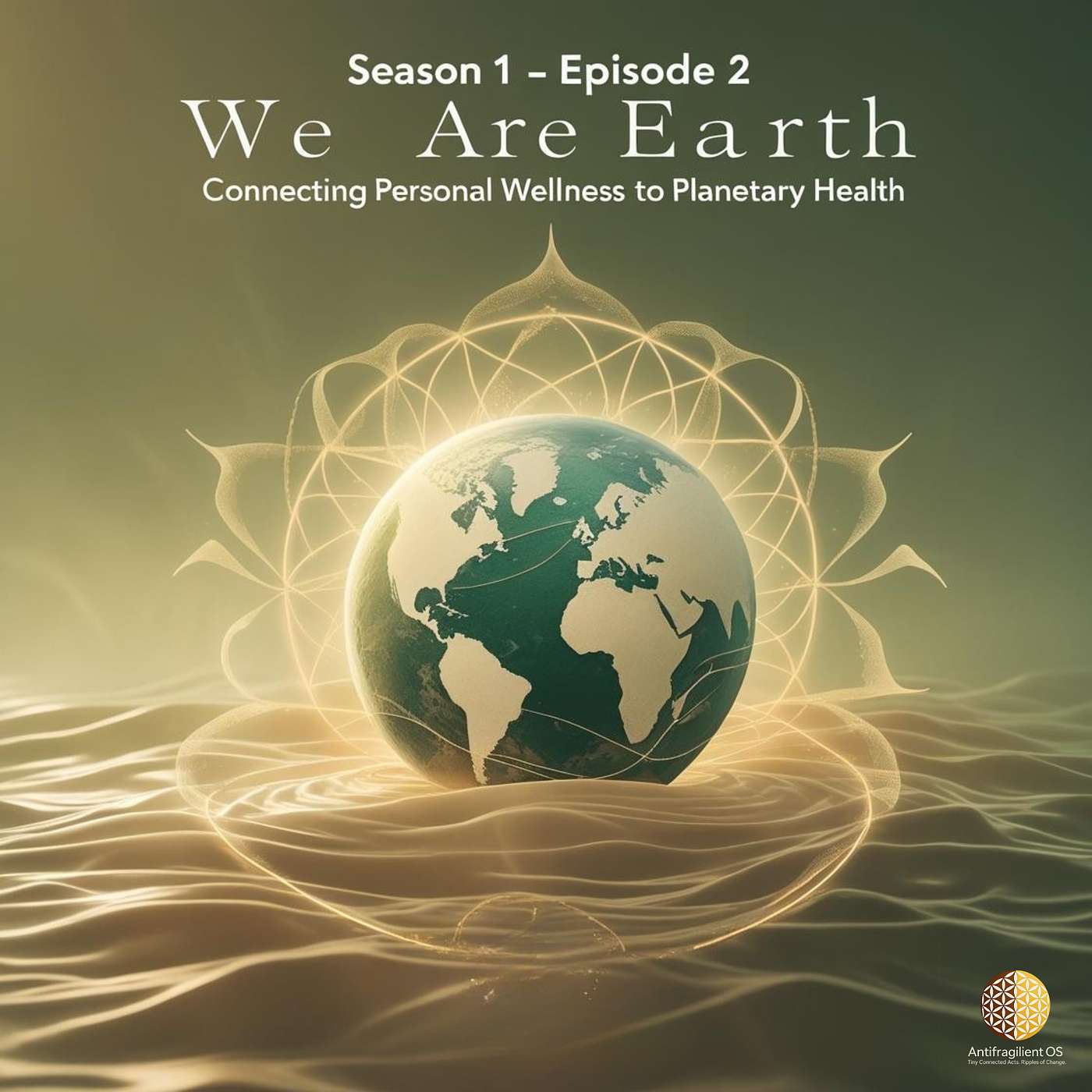We Are Earth: Connecting Personal Wellness to Planetary Health | NowShift July 30, 2025