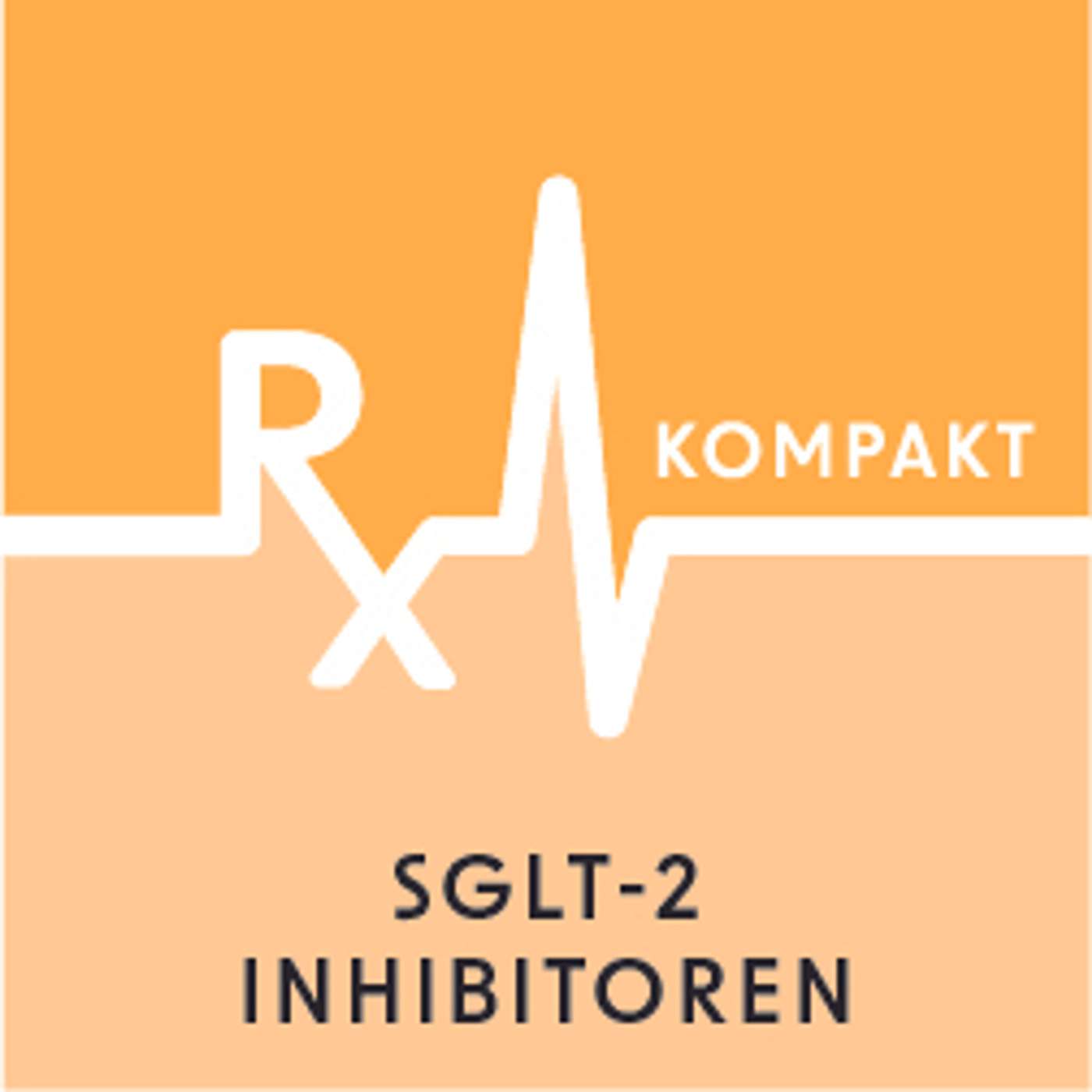 SGLT-2 Inhibitoren