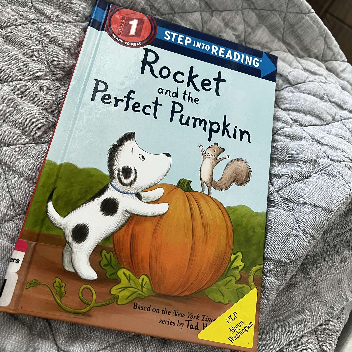 Rocket and the Perfect Pumpkin episode artwork