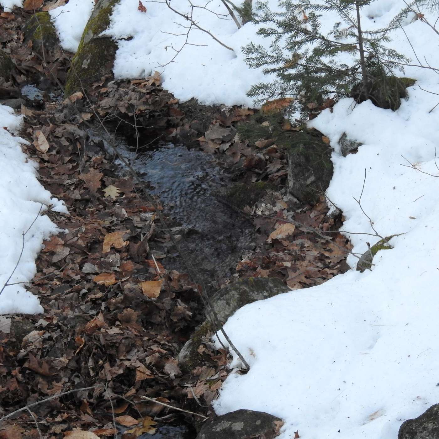 Message from the Mountain