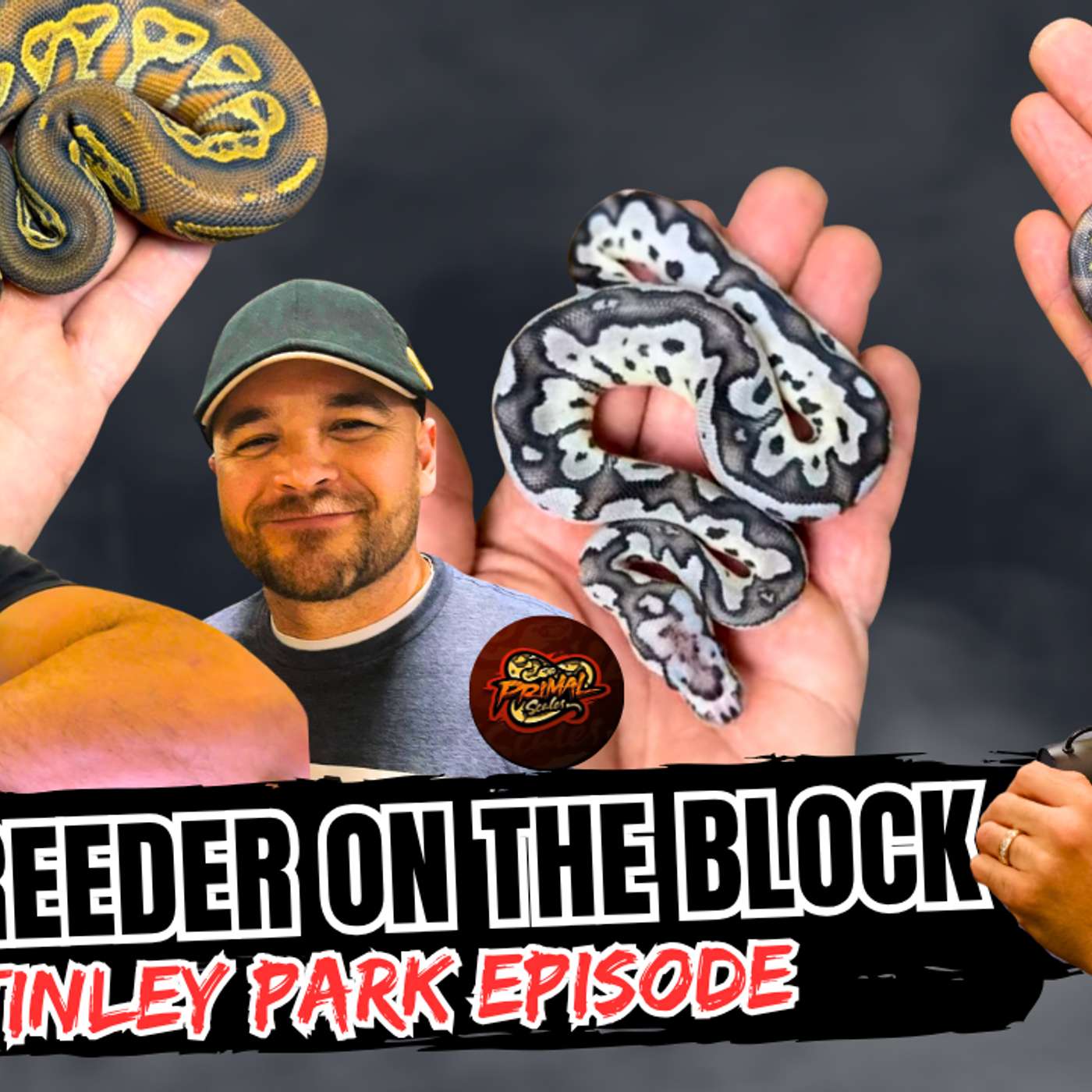 Will Tinley Park 2026 In October Be A Huge Hit Or Huge BUST? | NBB The Recap Episode (Live)