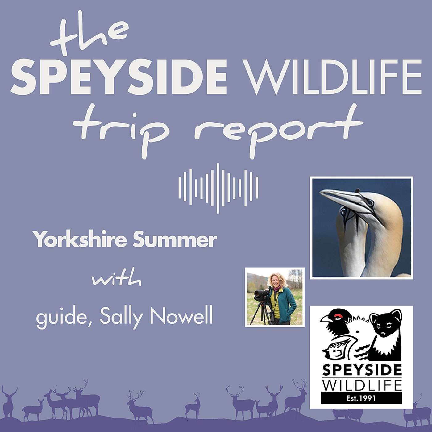 Yorkshire in Summer with Sally Nowell