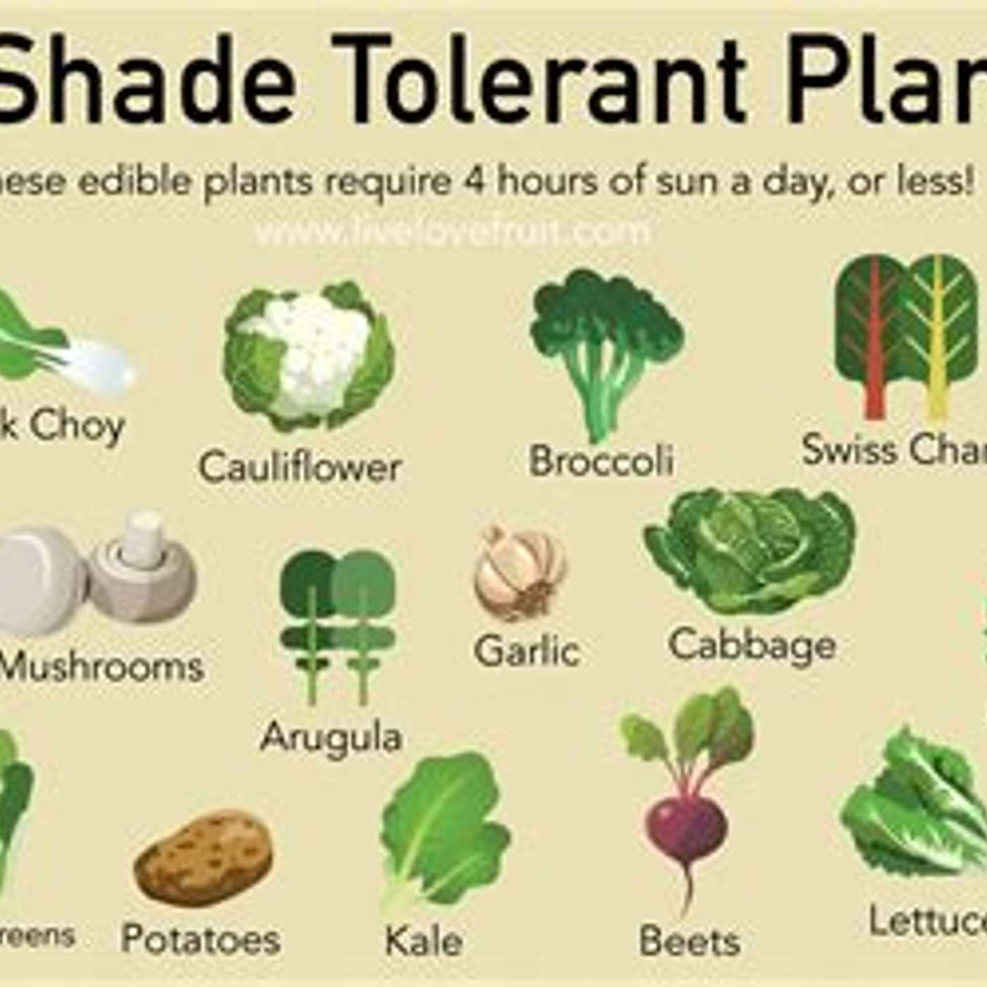 Shade Veggies episode artwork