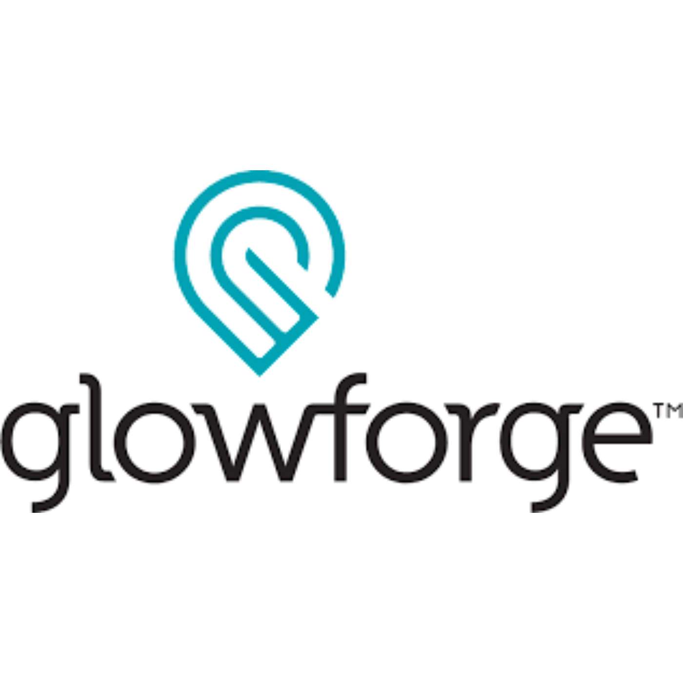 ASI 48 Glowforge: Your at home 3D Laser Printer. Interview with Dan Shapiro, CEO & Founder