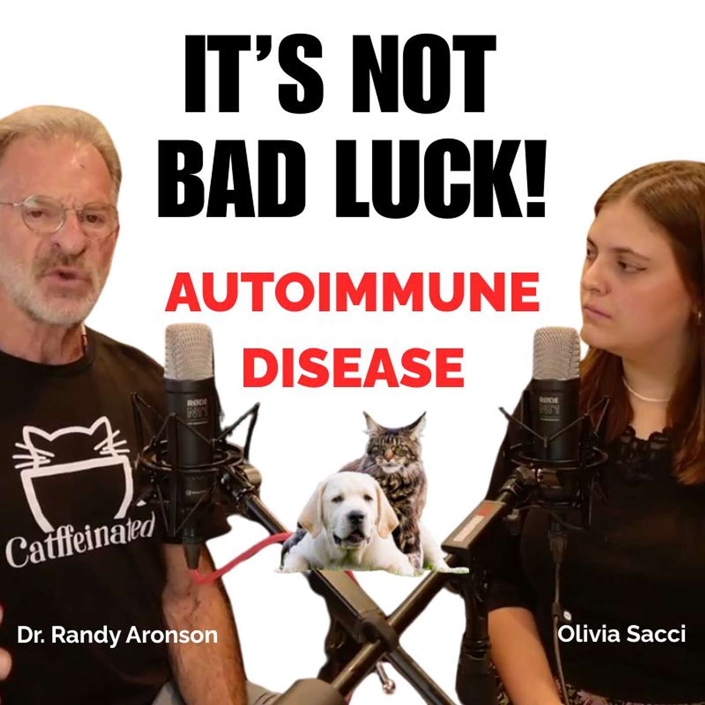 When the Immune System Turns Rogue: What Pet Parents Must Know