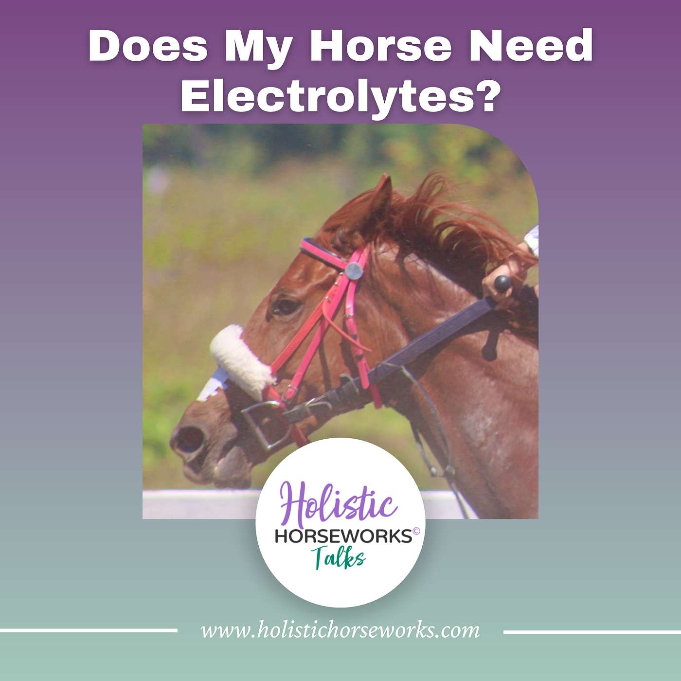 Holistic Horseworks Talks with April Love
