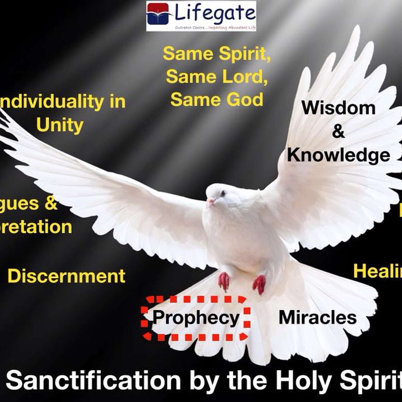 The Gift of Prophecy - Lifegate Outreach Centre - 9.6.19 episode artwork