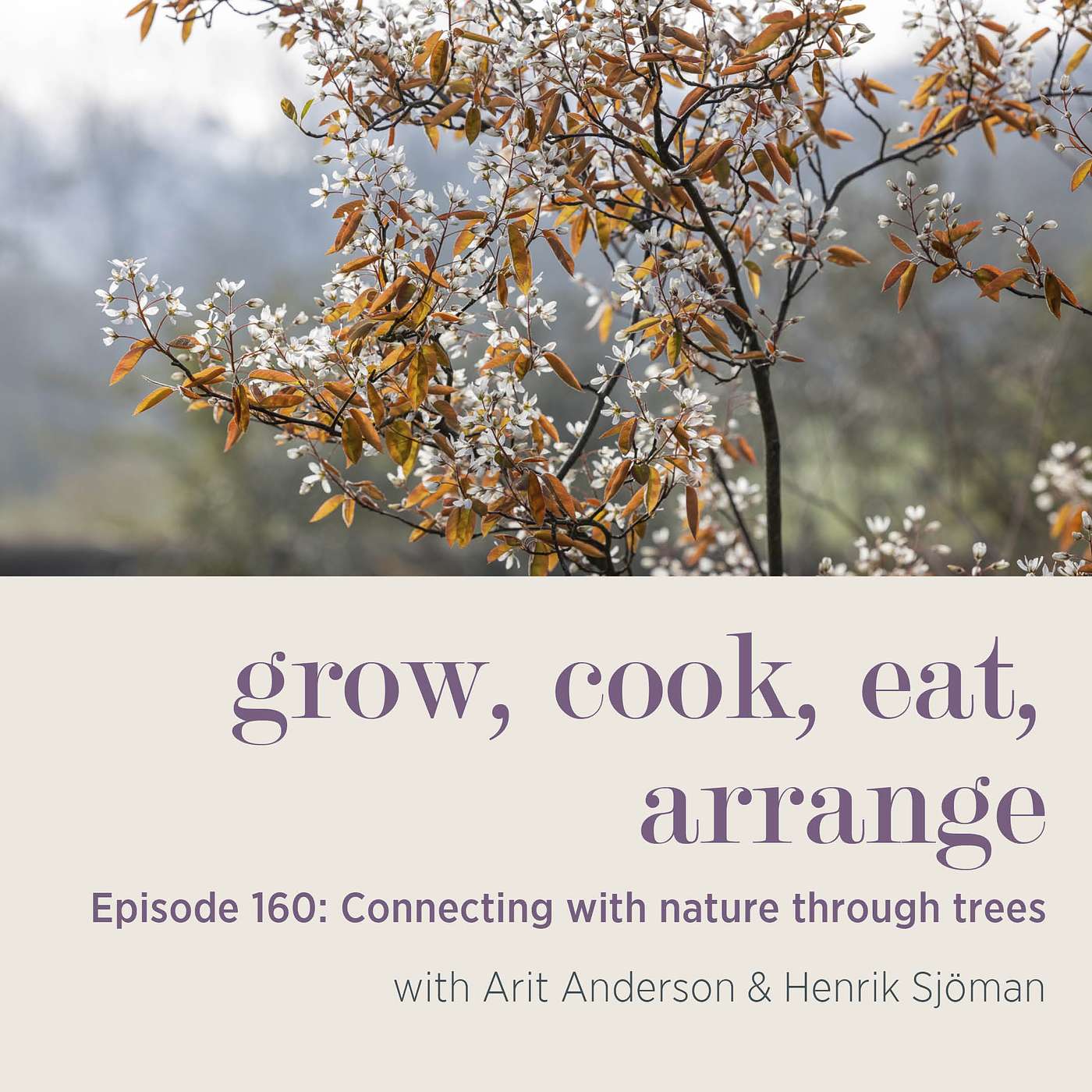 cover of episode Connecting with Nature Through Trees with Arit Anderson and Henrik Sjöman - Episode 160