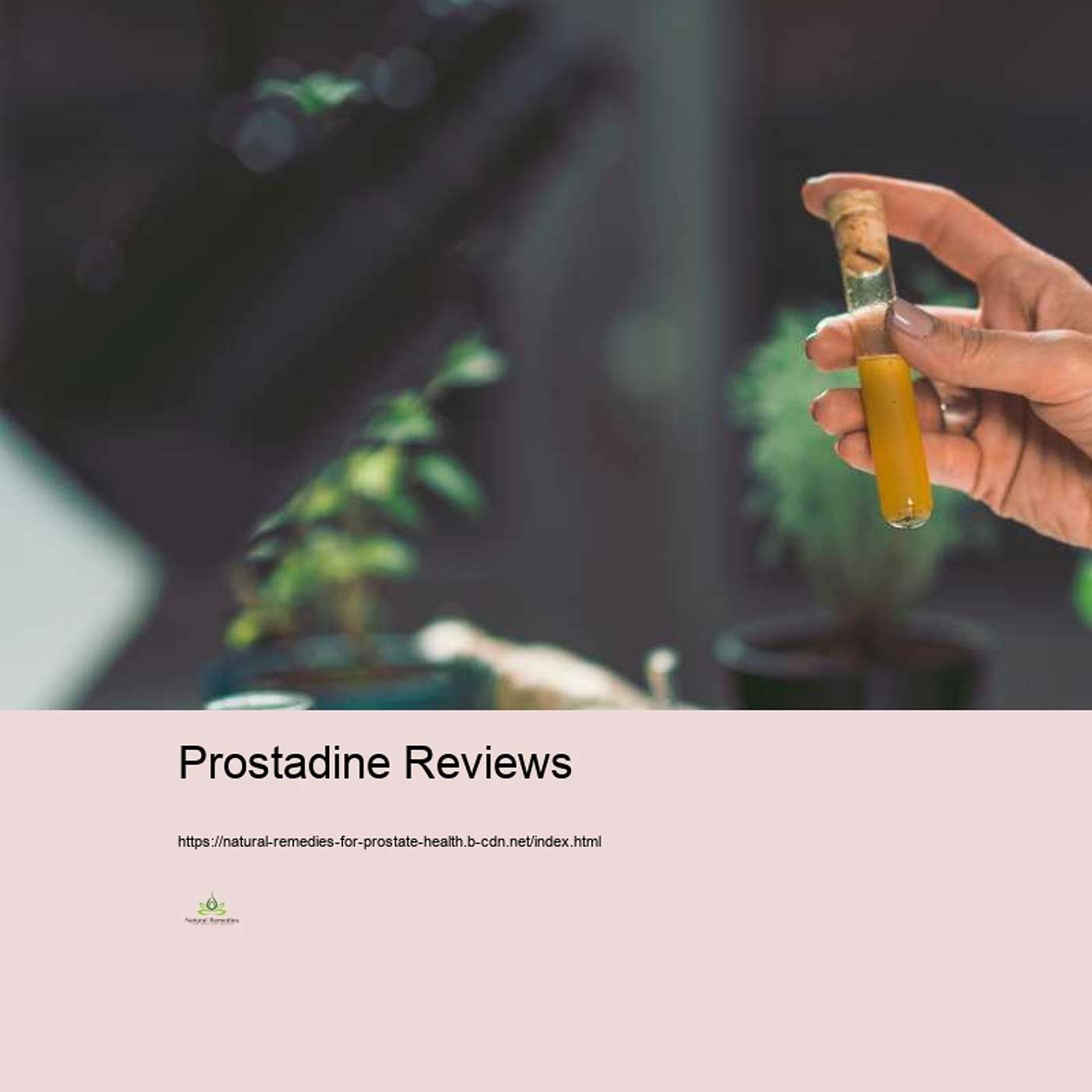 Remedies for Prostate Health: Natural Solutions for a Healthier You