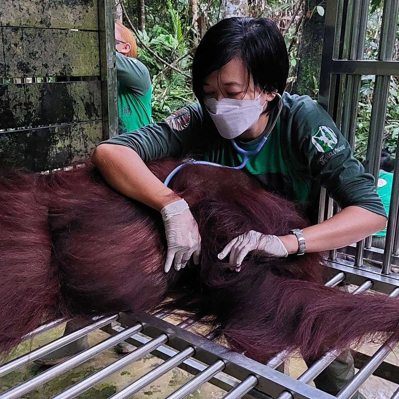 Wildlife Health Talks