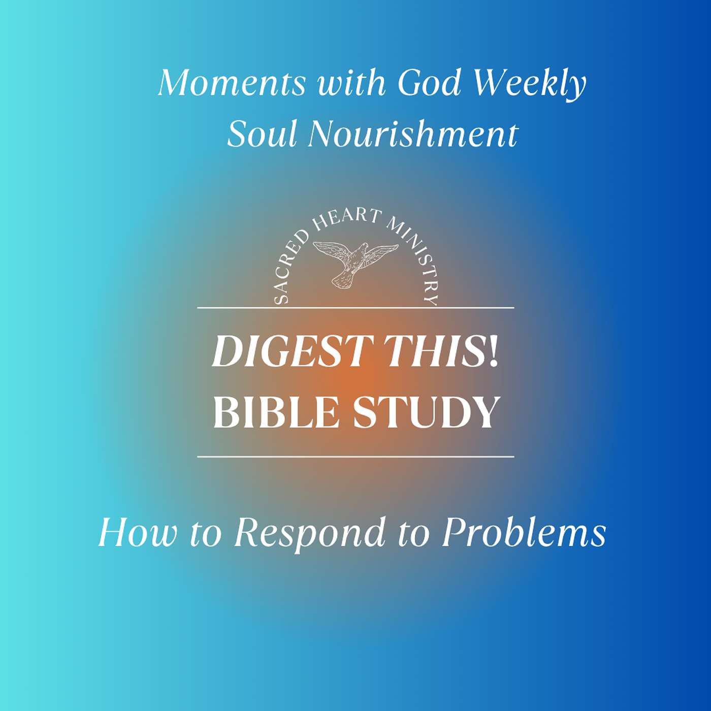 How to Respond to Problems episode artwork