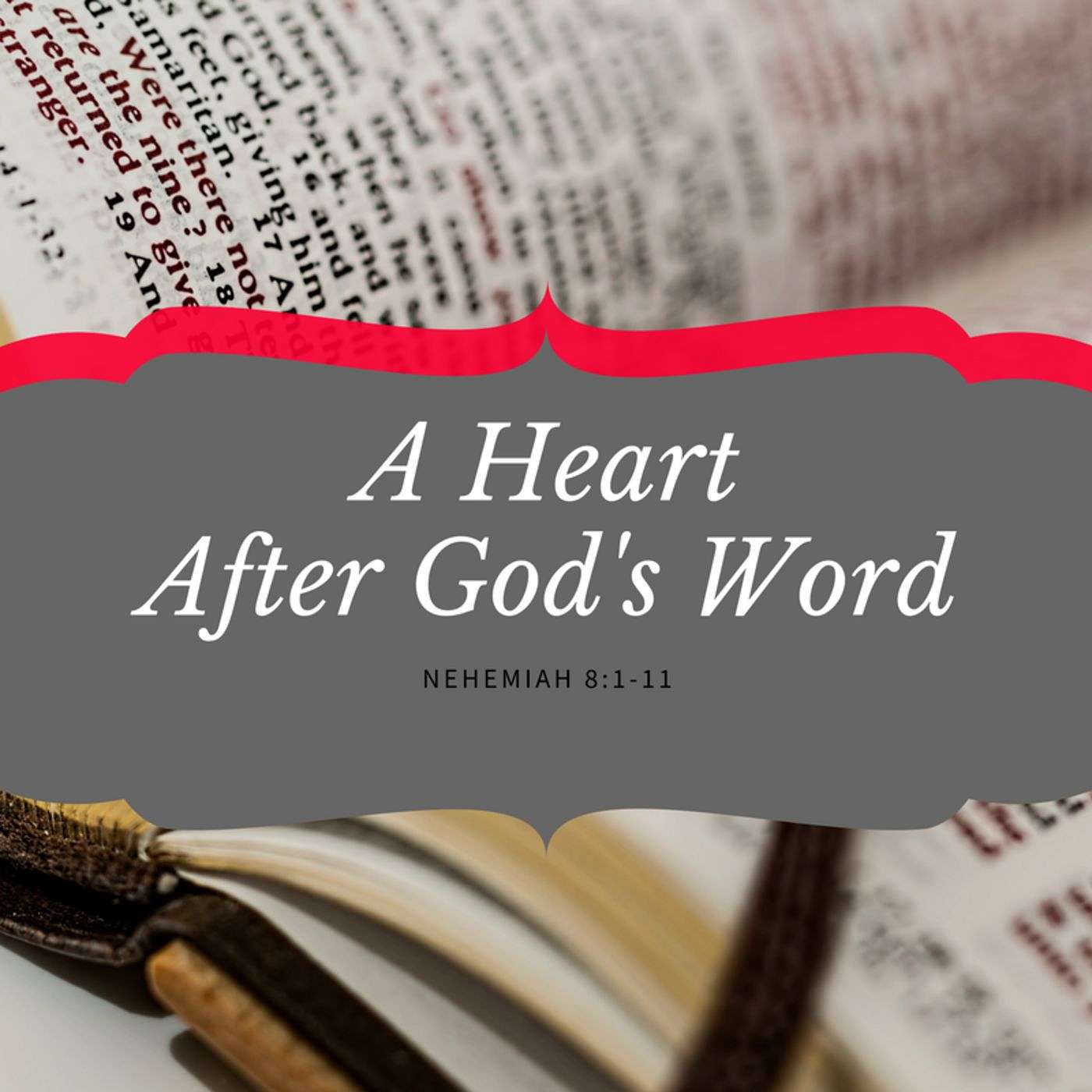 A Heart After God's Word