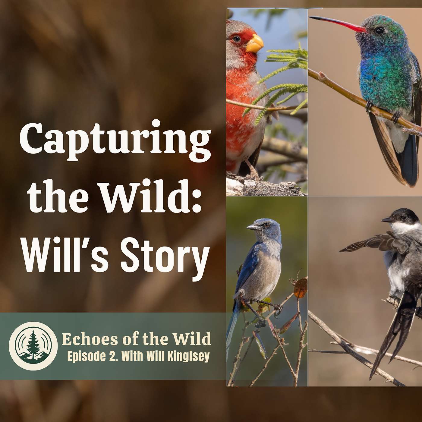 Episode 2 – Through the Lens: Capturing the Wild with Photographer Will Kingsley