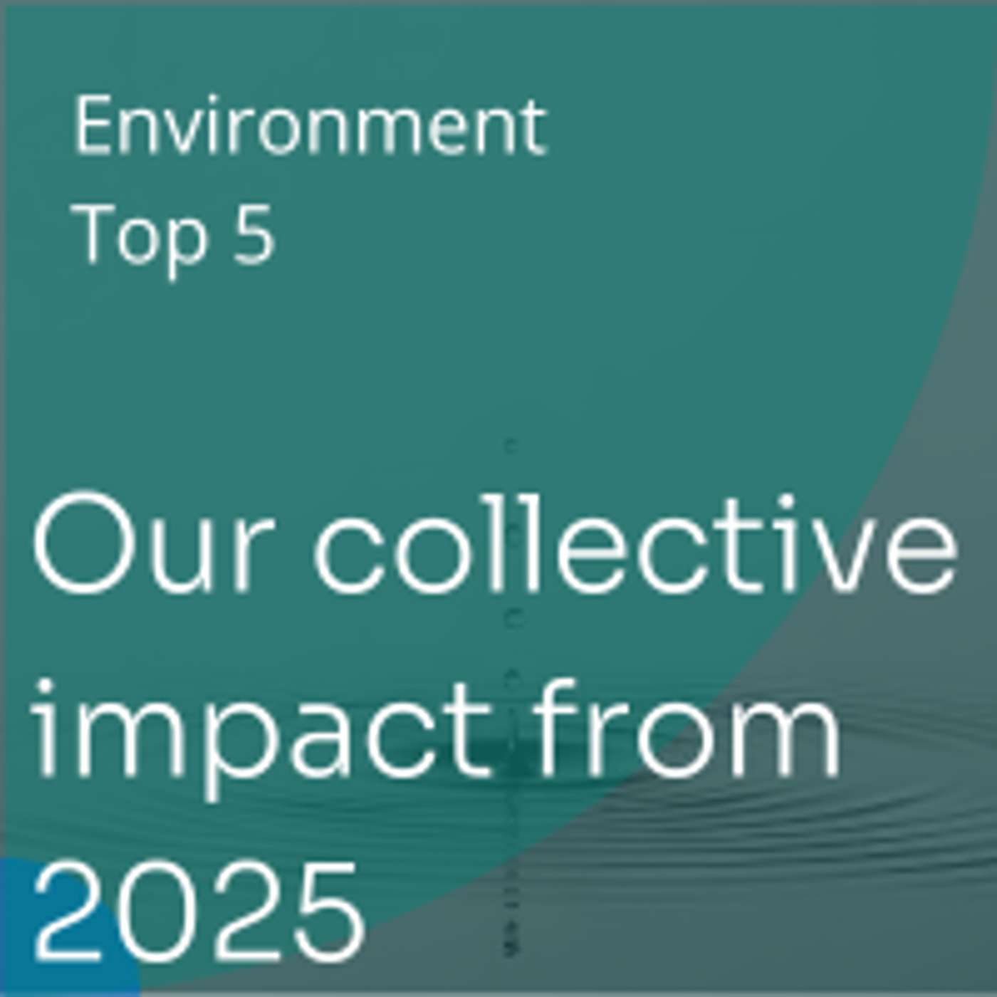 A look into our collective impact from 2025