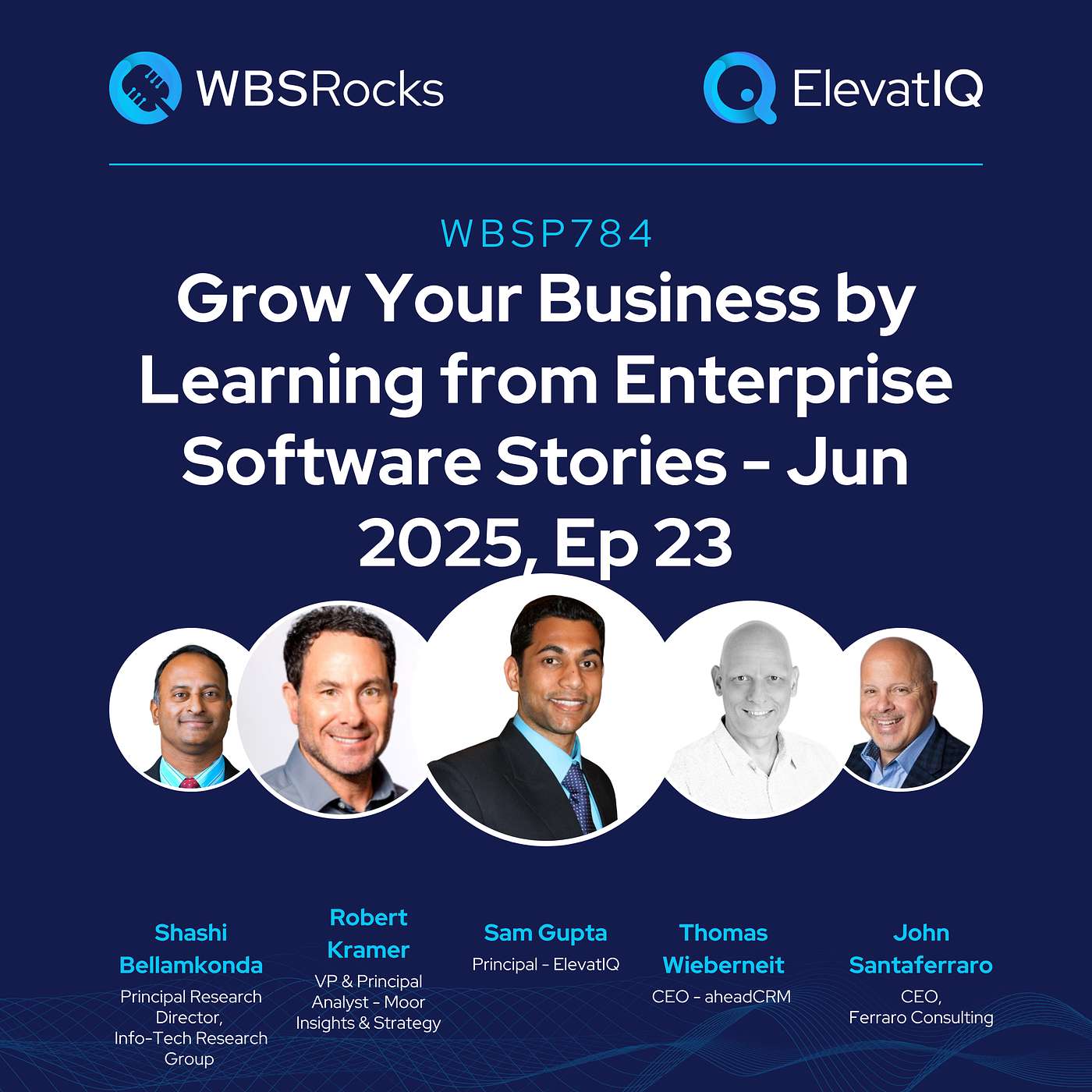 WBSP784: Grow Your Business by Learning from Enterprise Software Stories - Jun 2025, Ep 23, an Objective Panel Discussion WBSP784: Grow Your Business by Learning from Enterprise Software Stories - Jun 2025, Ep 23, an Objective Panel Discussion