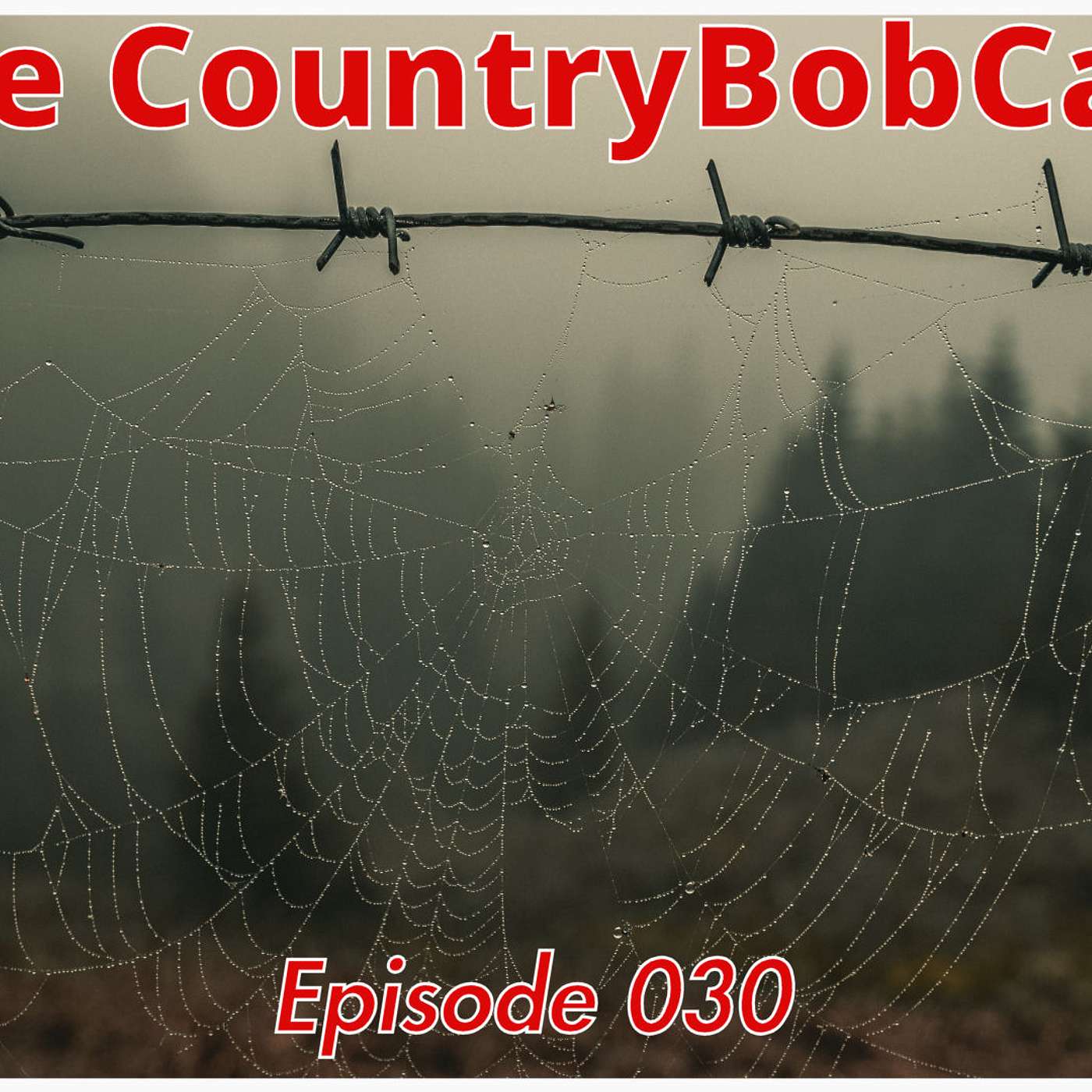 The CountryBobCast
