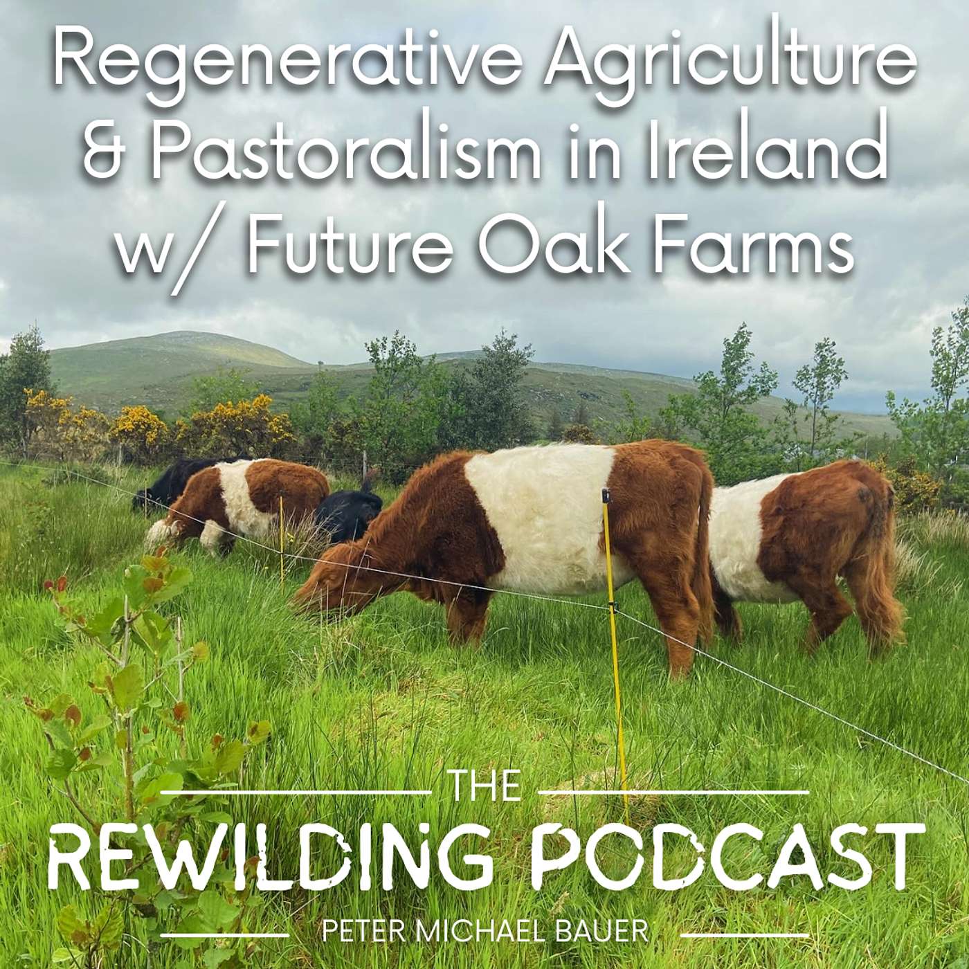Regenerative Agriculture & Pastoralism in Ireland w/ Future Oak Farms
