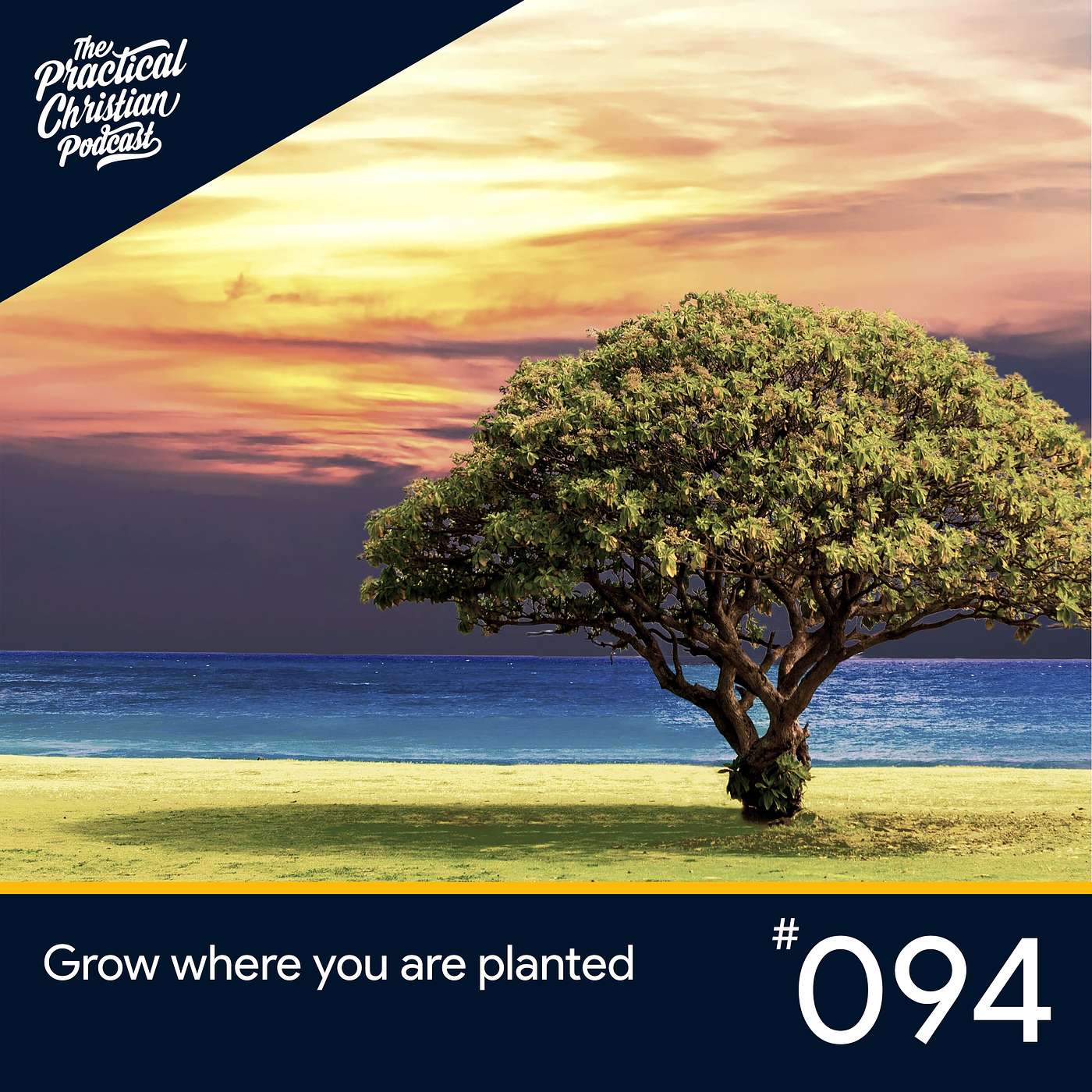 Grow where you are planted