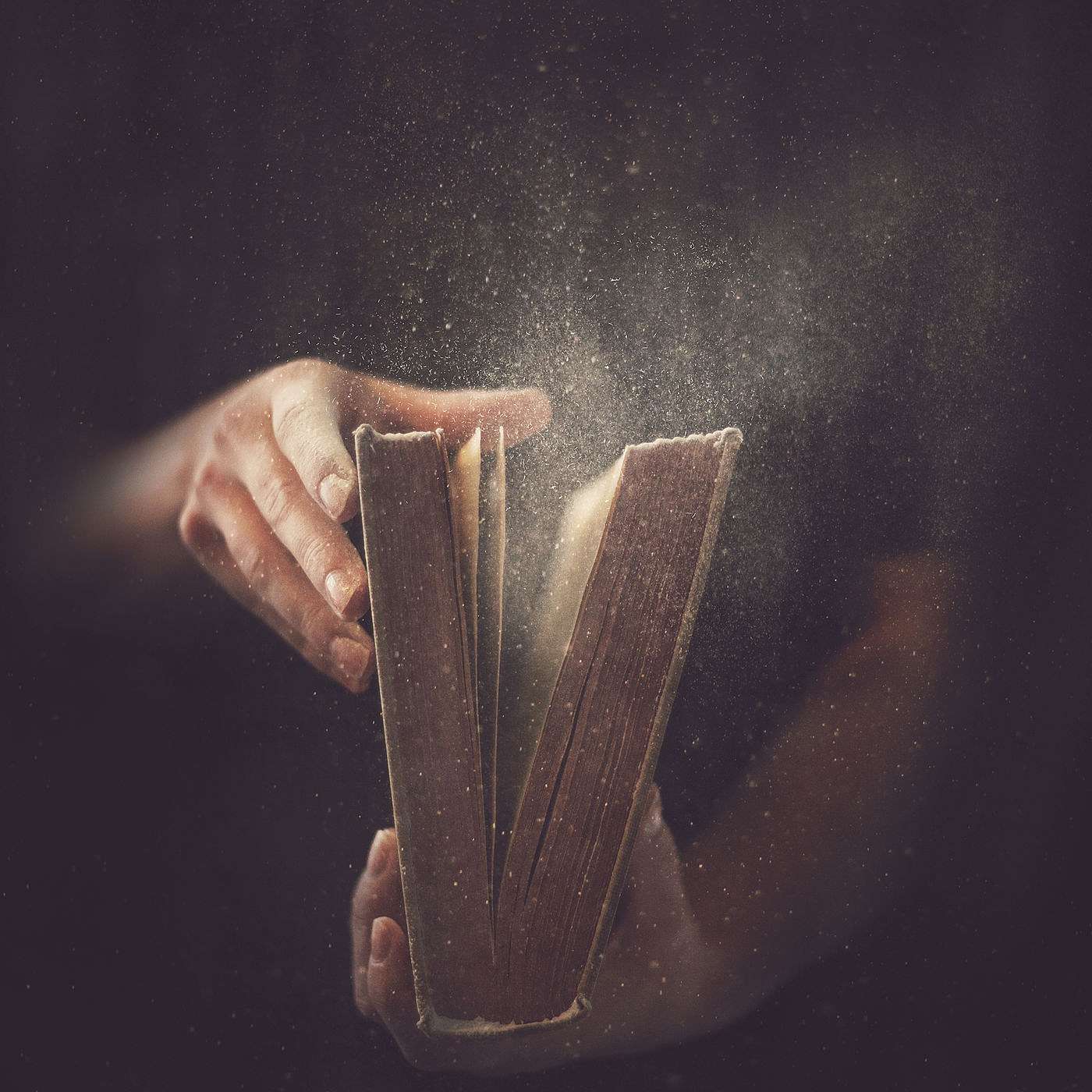 Acts: Studying To Live It