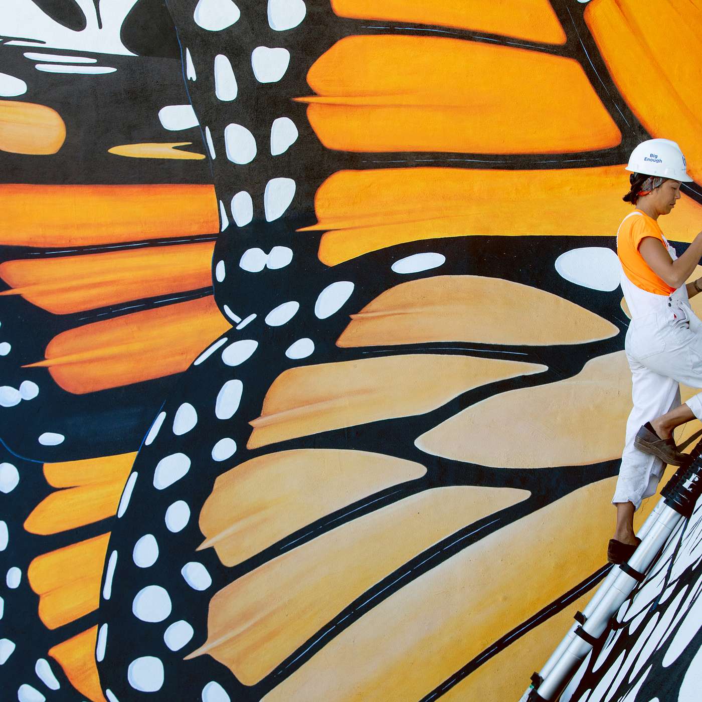 Walls That Speak: Inspiring Conservation Through Art