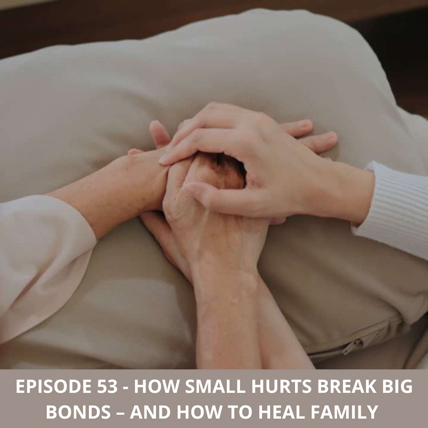 Episode 53 - How Small Hurts Break Big Bonds - and How to Heal Family