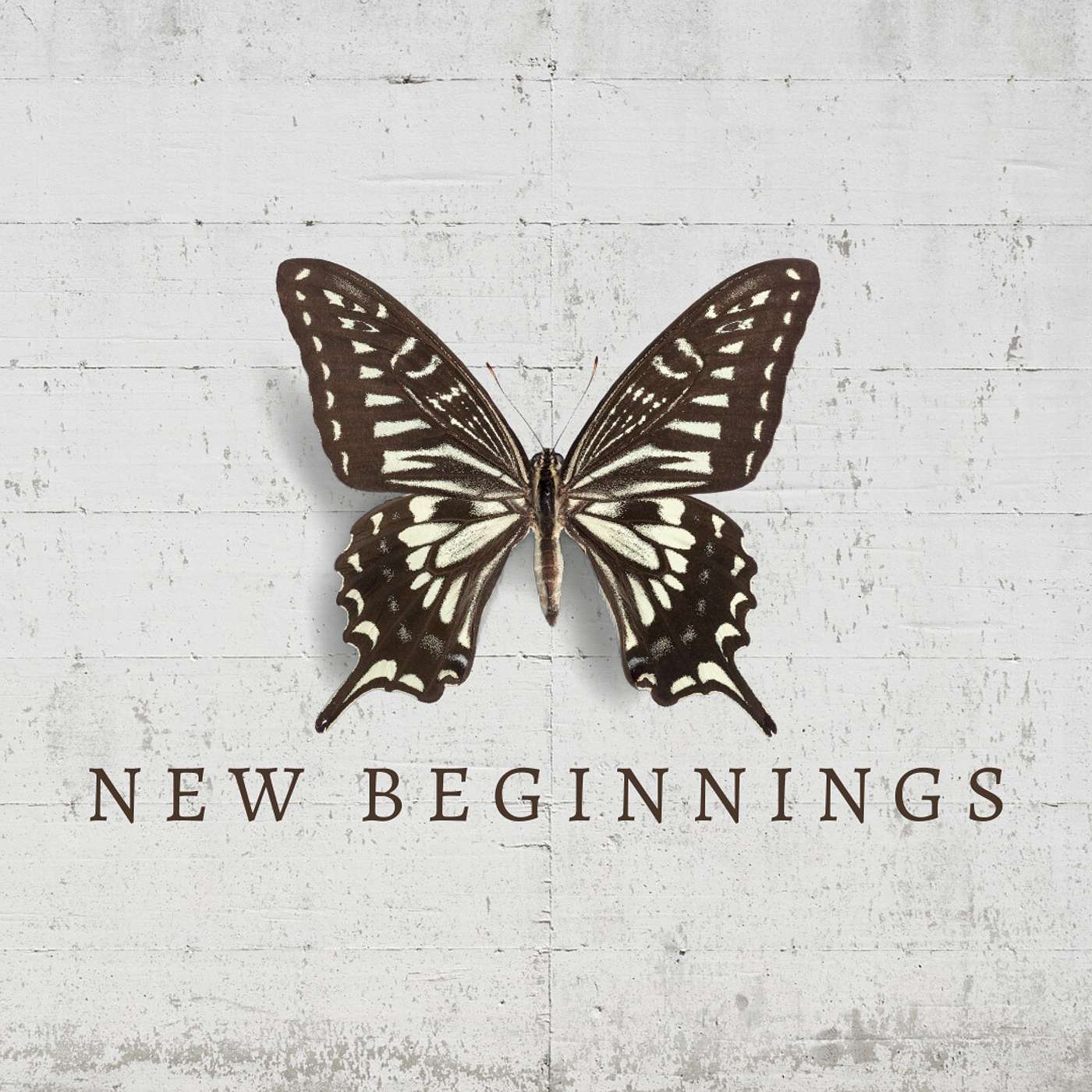 The thing the universe has been trying to tell you. John 1:1-5