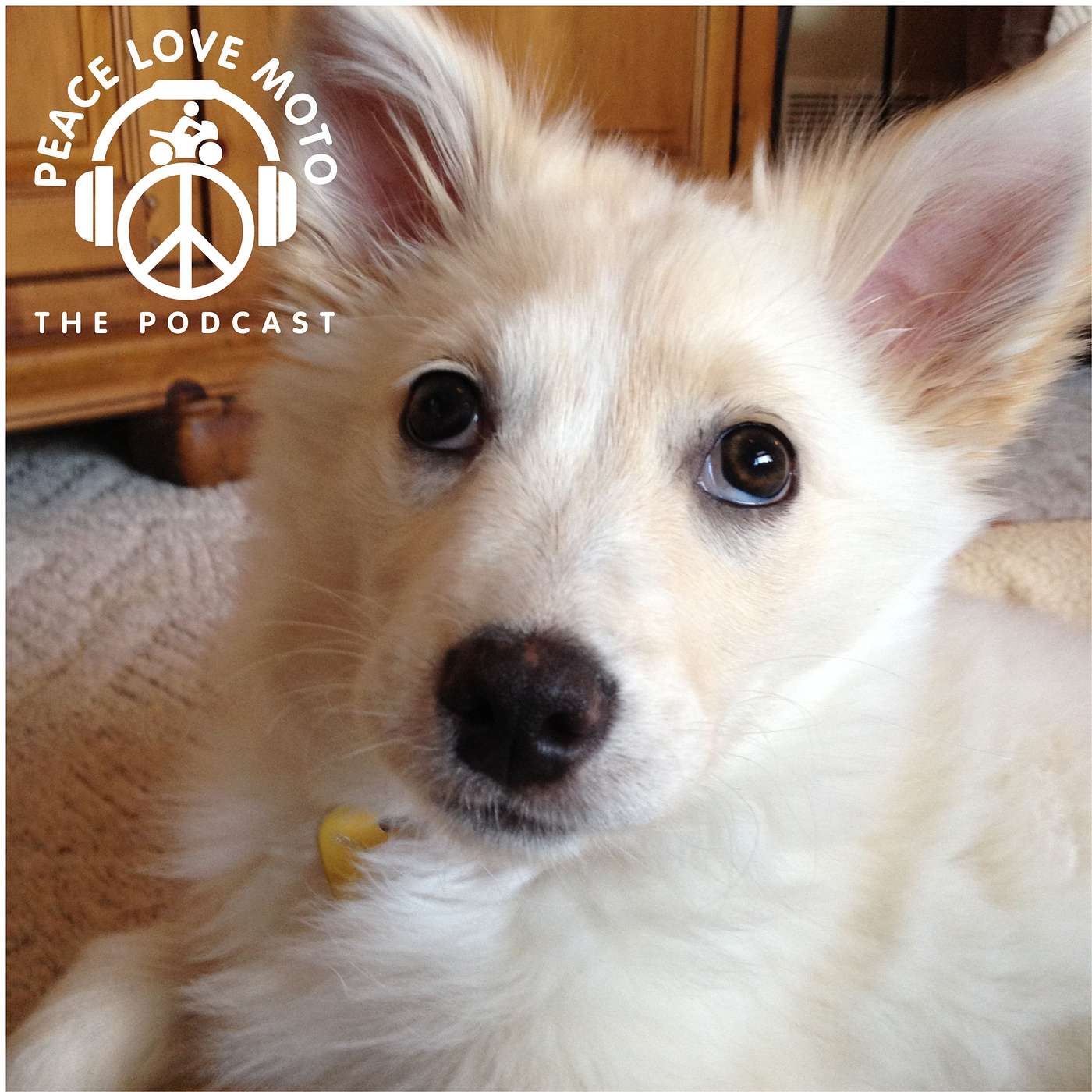 Peace Love Moto - Where Motorcycling meets Mindfulness