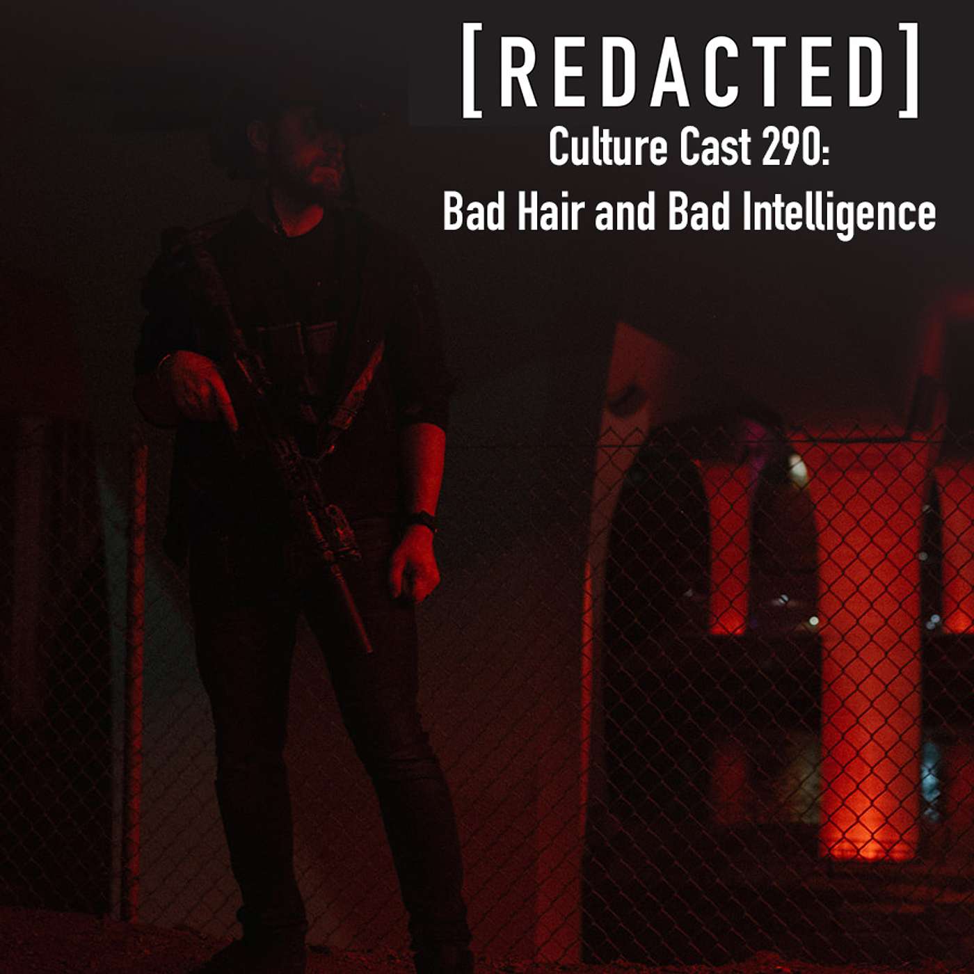 290: Bad Hair and Bad Intelligence episode artwork