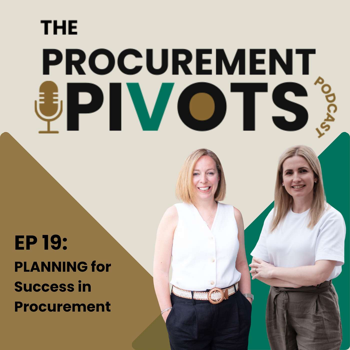 EP 19: PLANNING for Success in Procurement: Create the Career You Actually Want