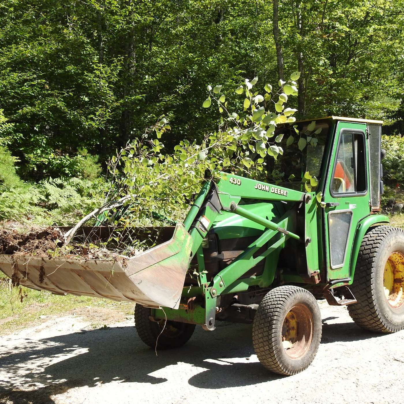 CLEARING THE LAND AGAIN