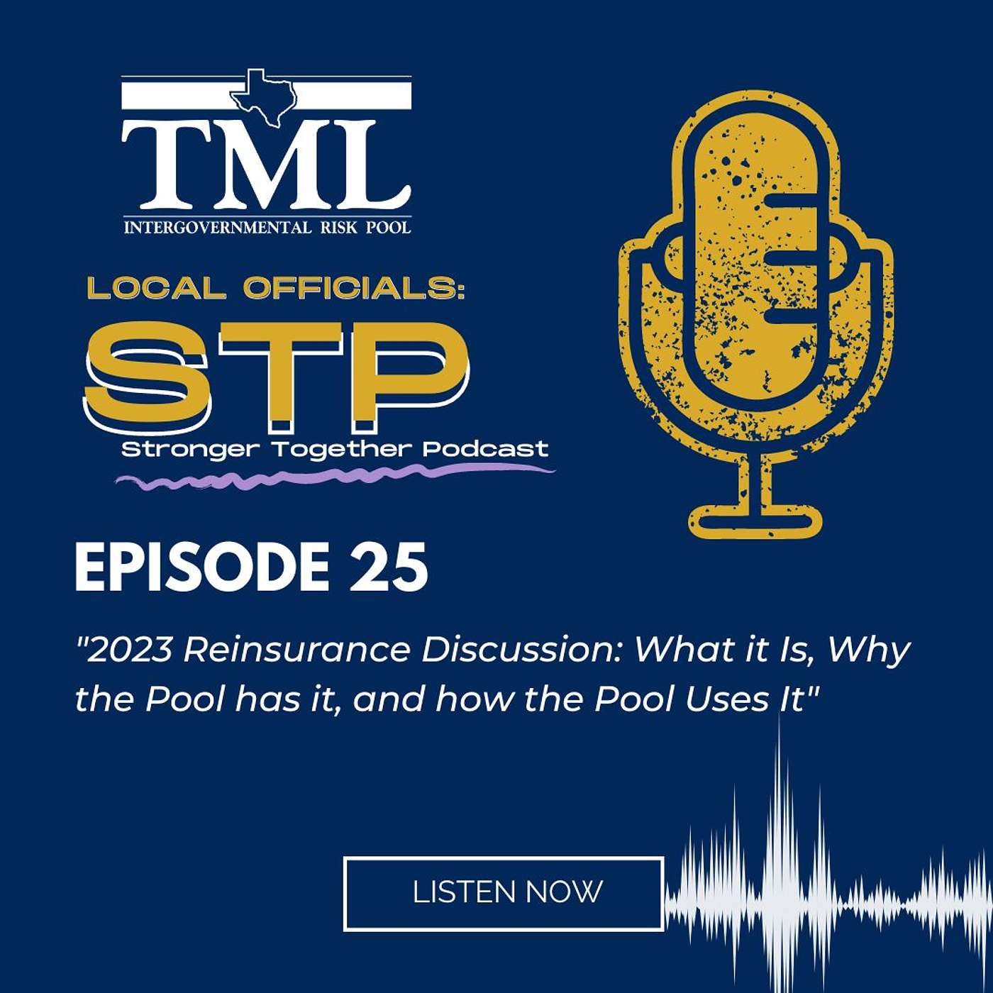 Local Officials: Stronger, Together Podcast