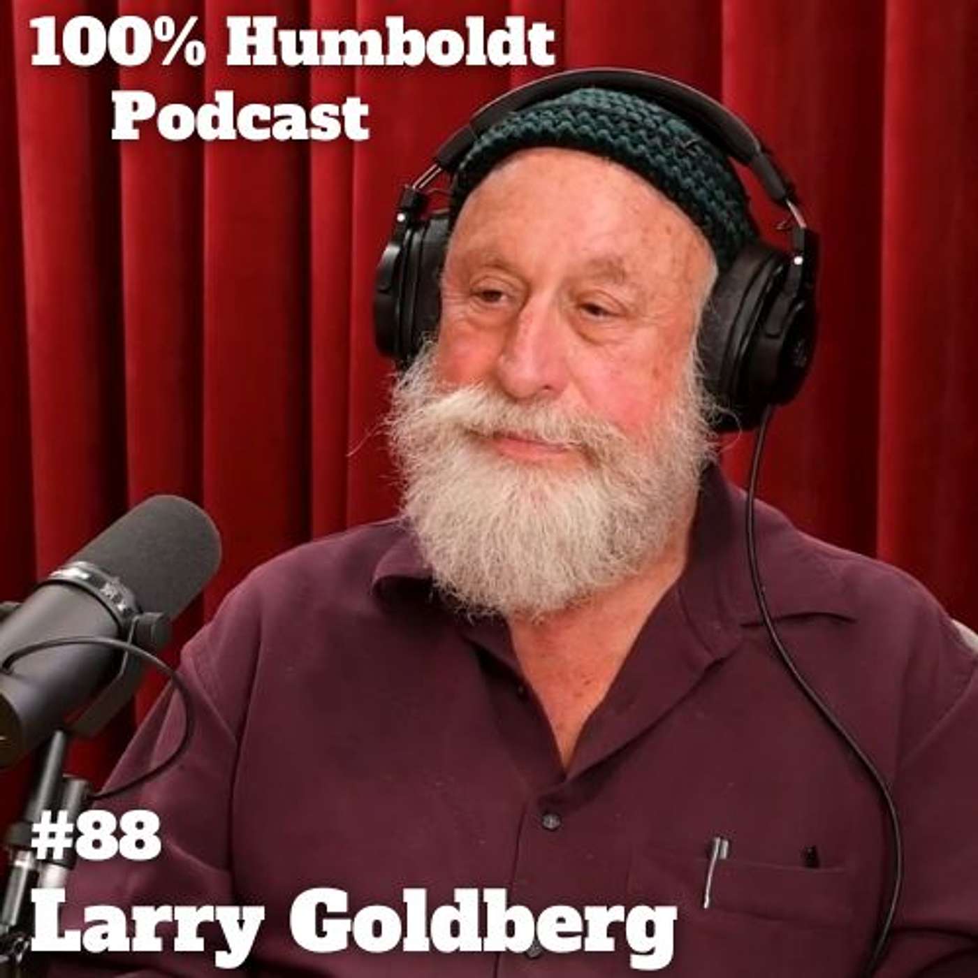 #88. From Queens to Humboldt: Larry Goldberg's Journey episode artwork