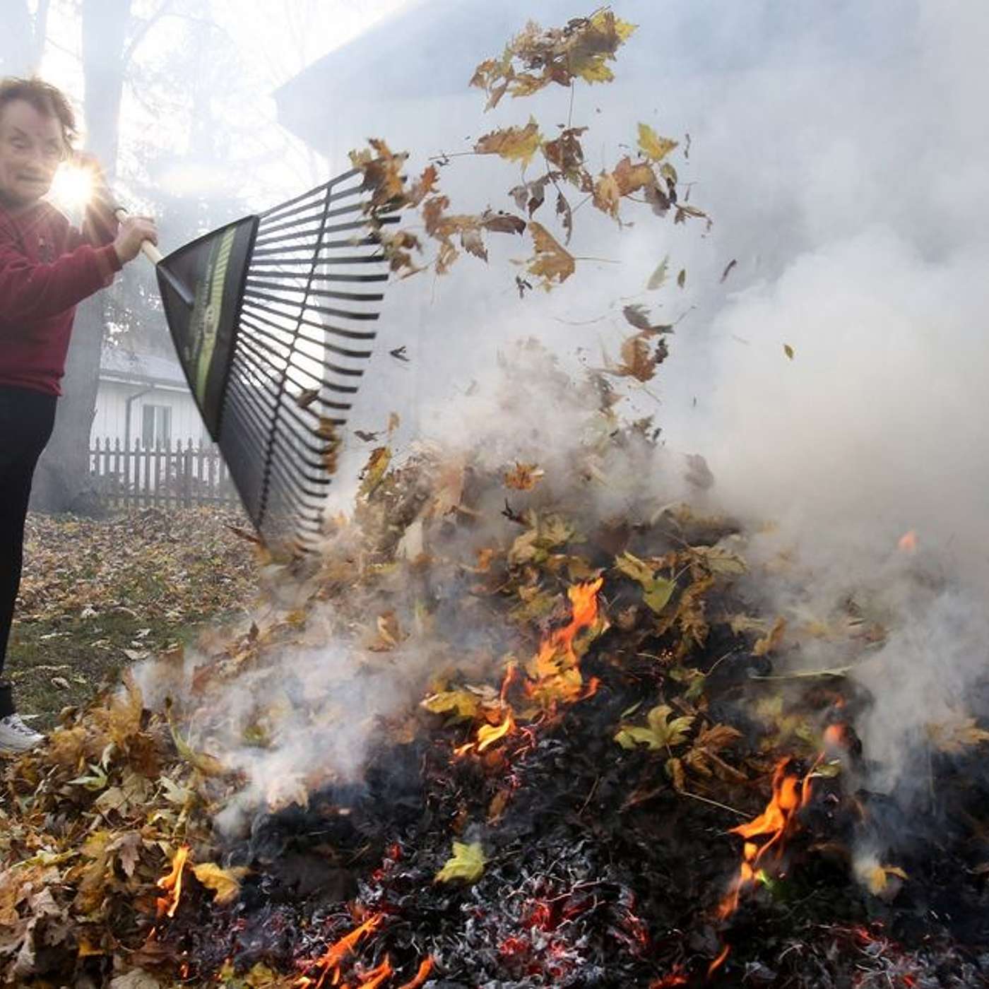 Good news: You don't need to rake your leaves. Experts explain why