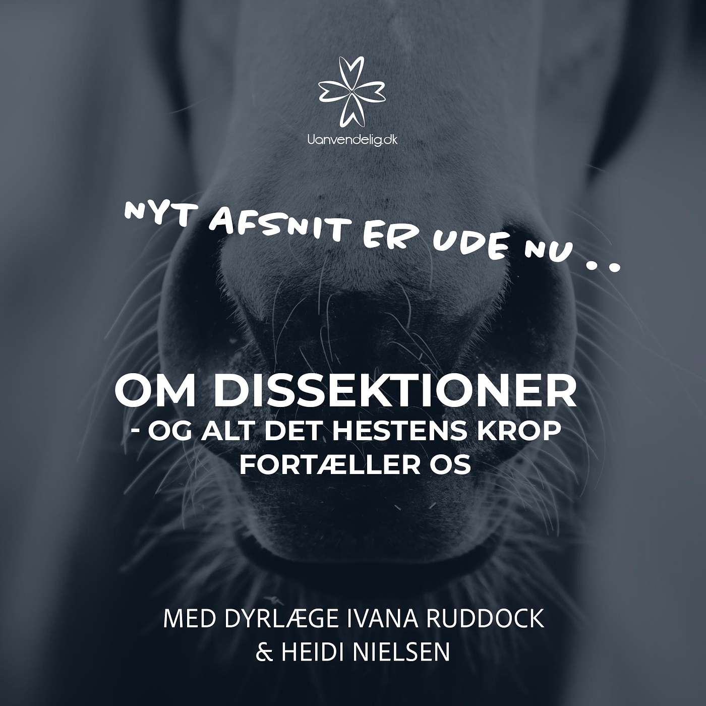 Uanvendelig eller Ridehest