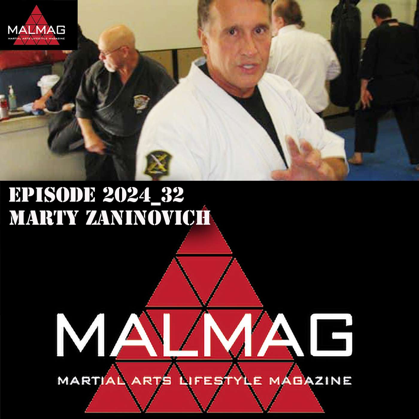 The Martial Arts Lifestyle Podcast