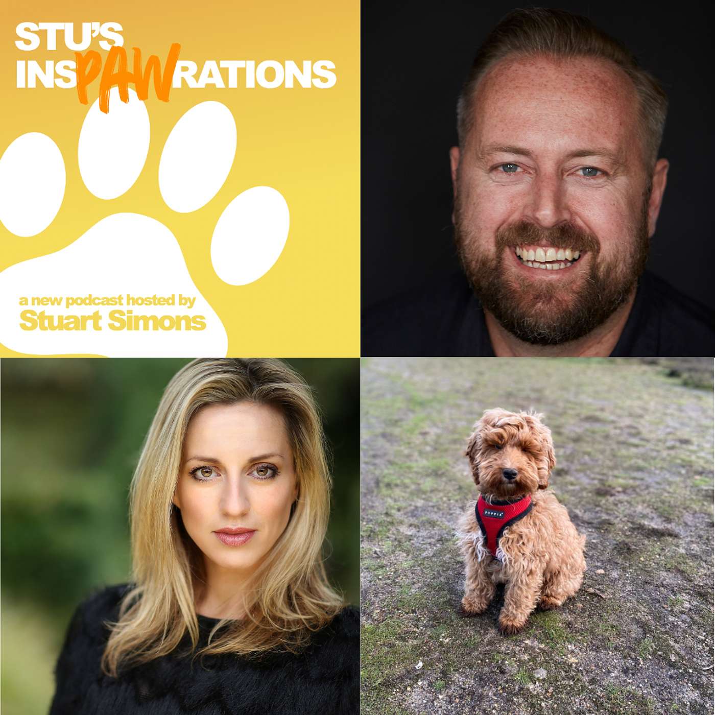 Stu\'s Inspawrations