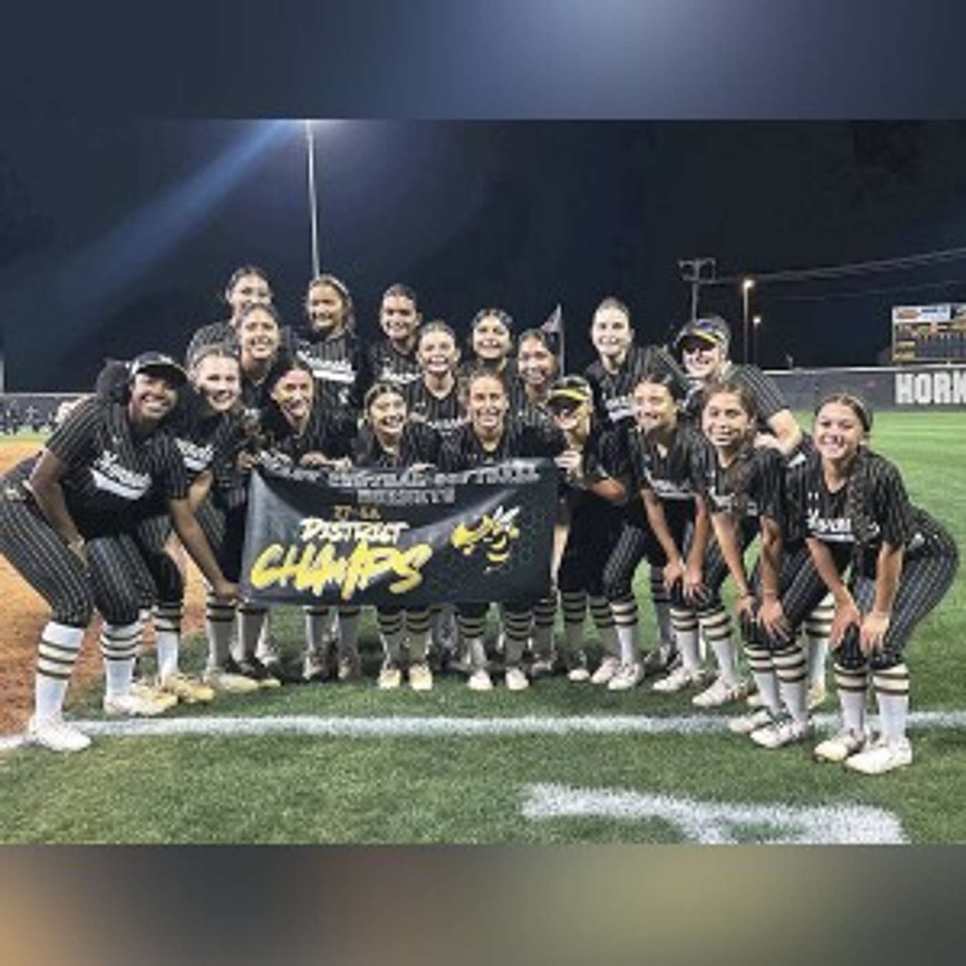 LADY HORNETS ARE BI-DISTRICT CHAMPIONS episode artwork