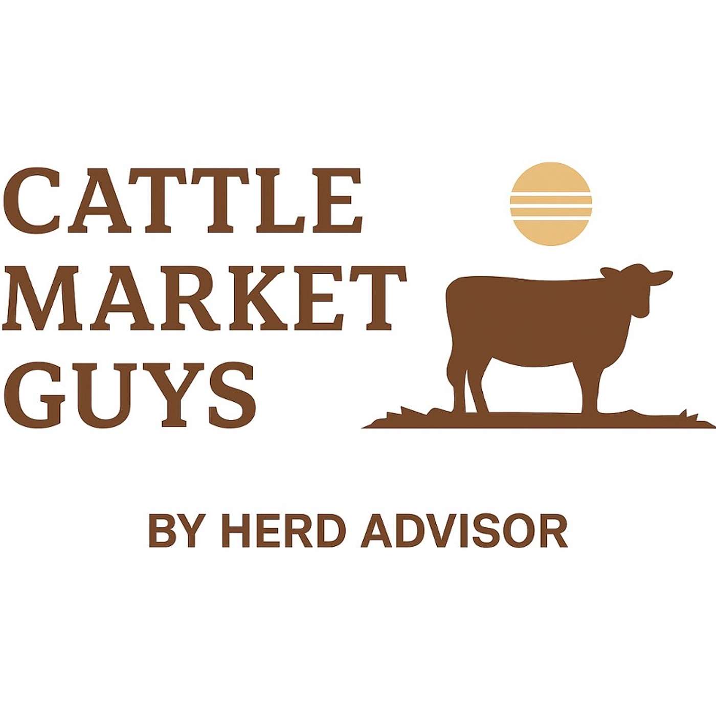 Cattle Market Guys - Week Wrap Up 1-30-2026