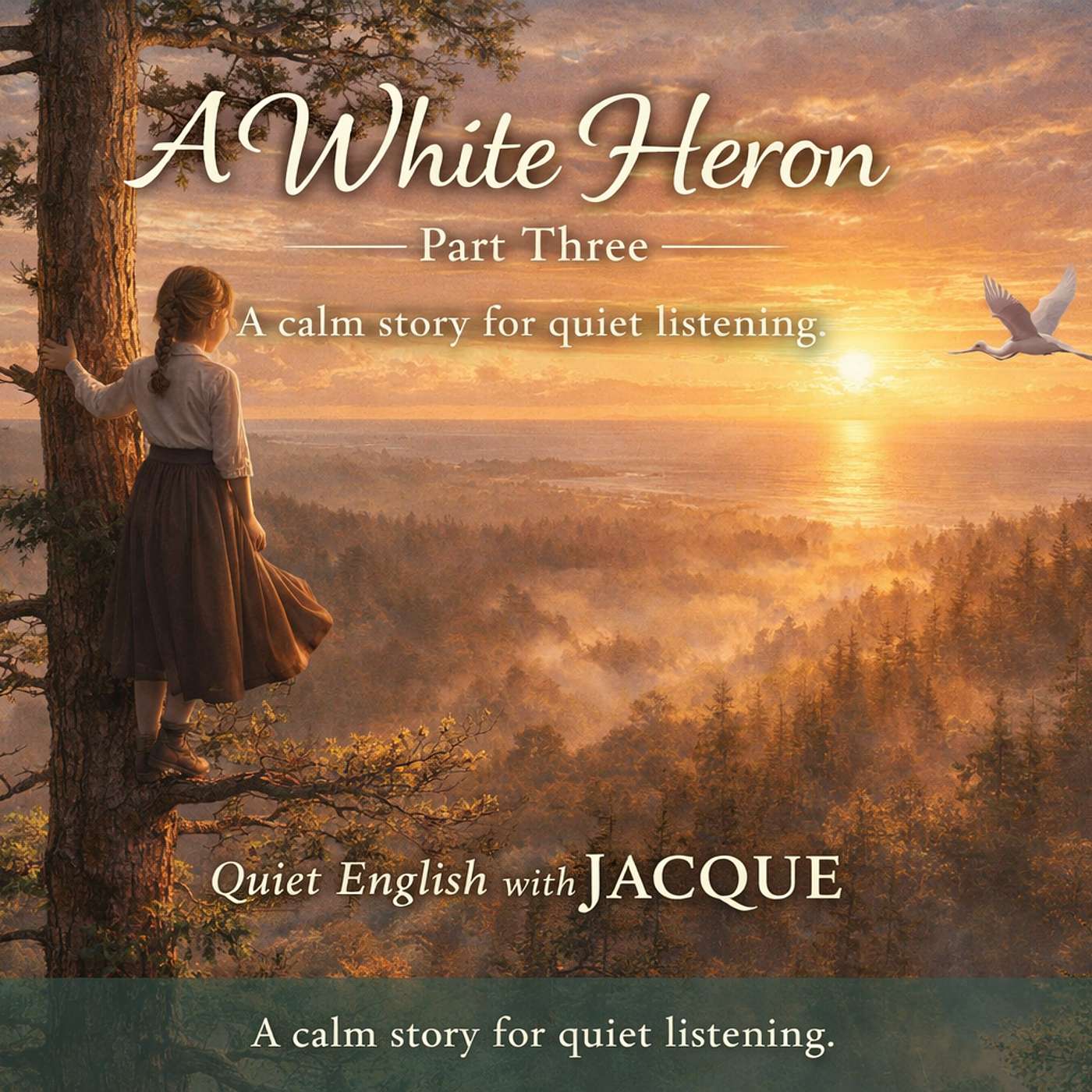 A White Heron part 3