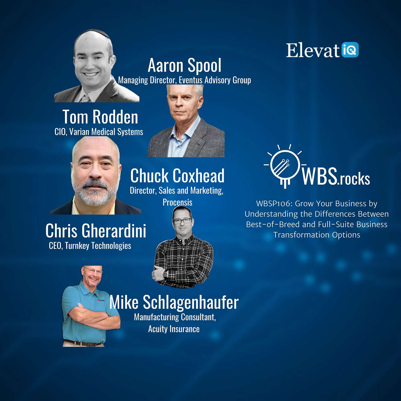 WBSP106: Grow Your Business by Understanding the Differences Between Best-of-Breed and Full-Suite Business Transformation Options, a Live Interview w/ a Panel of Experts