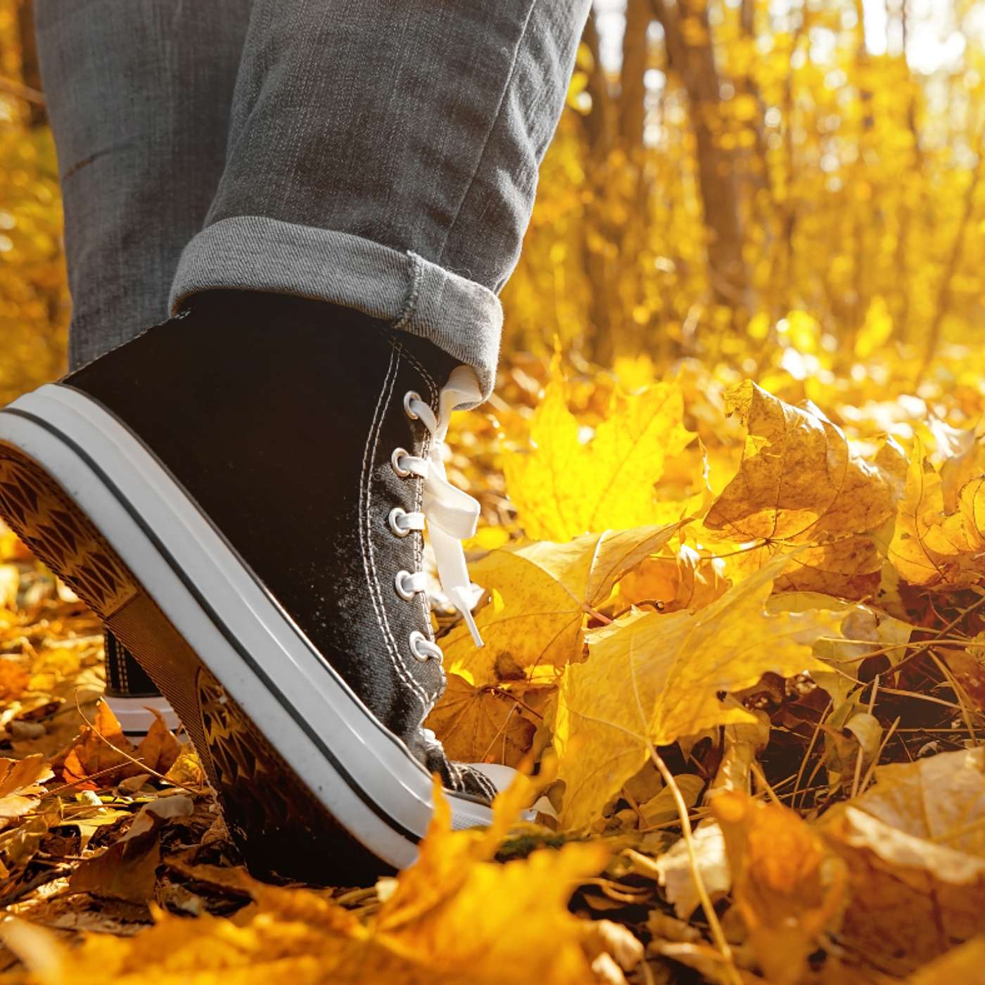 Transform Your Day in Thirteen Minutes: A Guided Walking Meditation