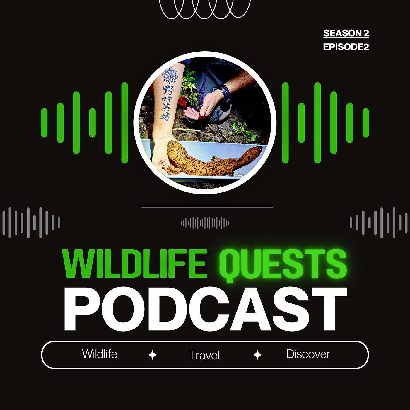 Wildlife Quests