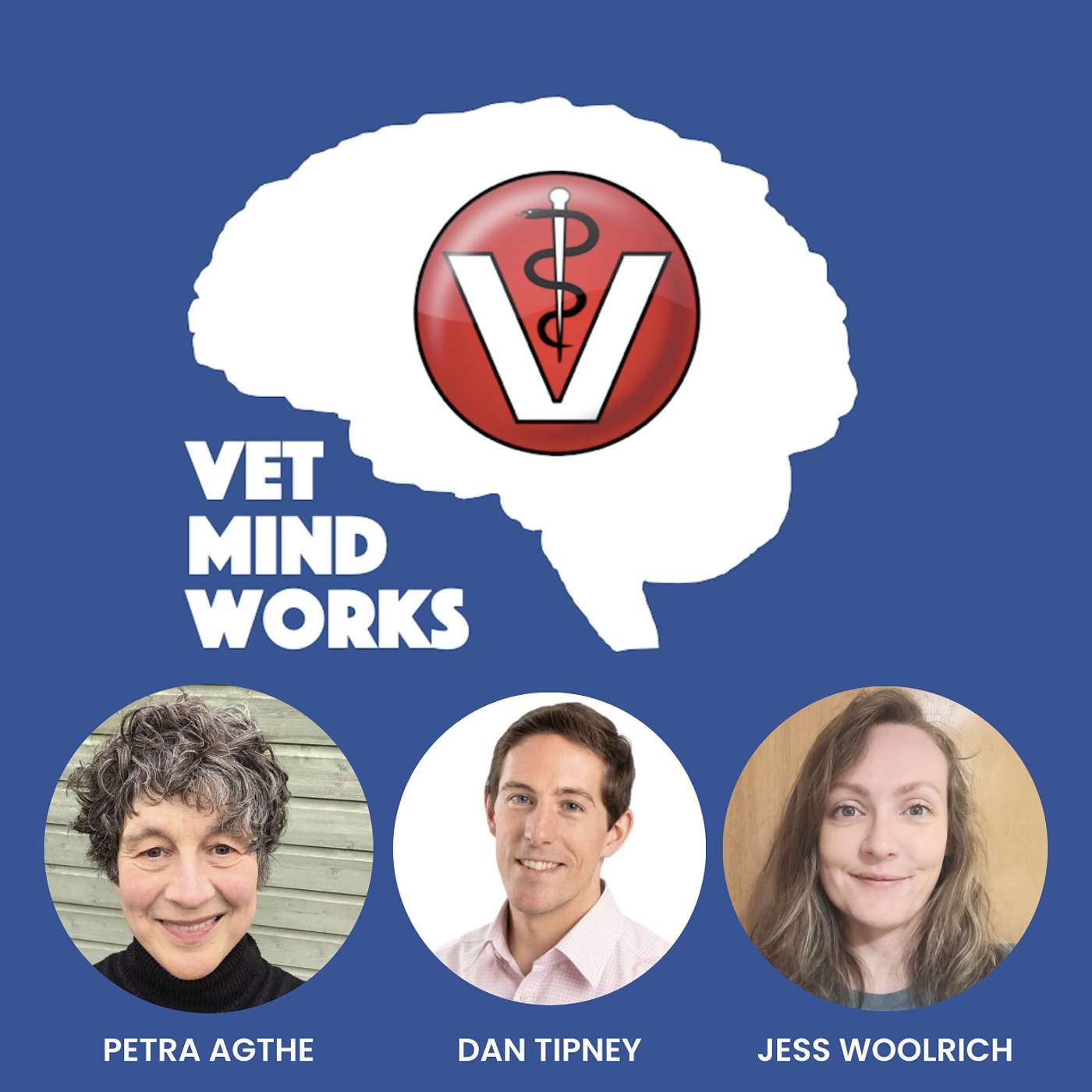 Vet Mind Works Podcast