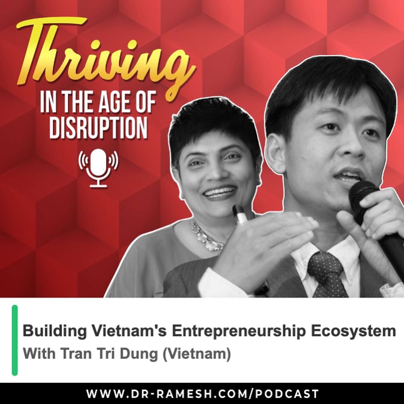 Building Vietnam's Entrepreneurship Ecosystem: Tran Tri Dung (Vietnam)