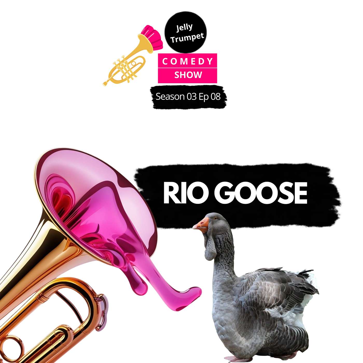S03E08 Rio Goose episode artwork