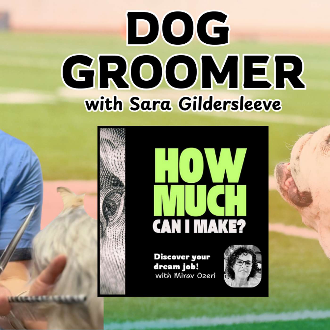 How Much Does a Dog Groomer Make? Real Income & Career Path How Much Does a Dog Groomer Make? Real Income & Career Path