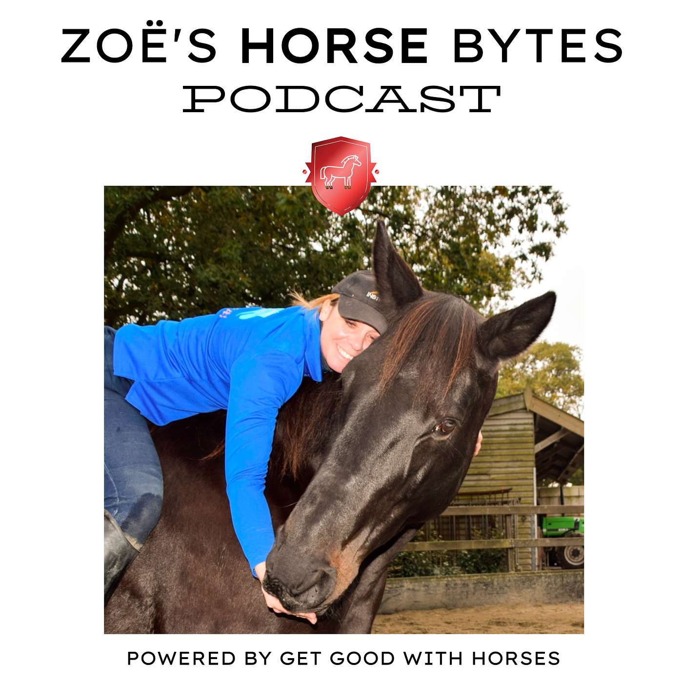 22. Bridle-less riding - some thoughts episode artwork