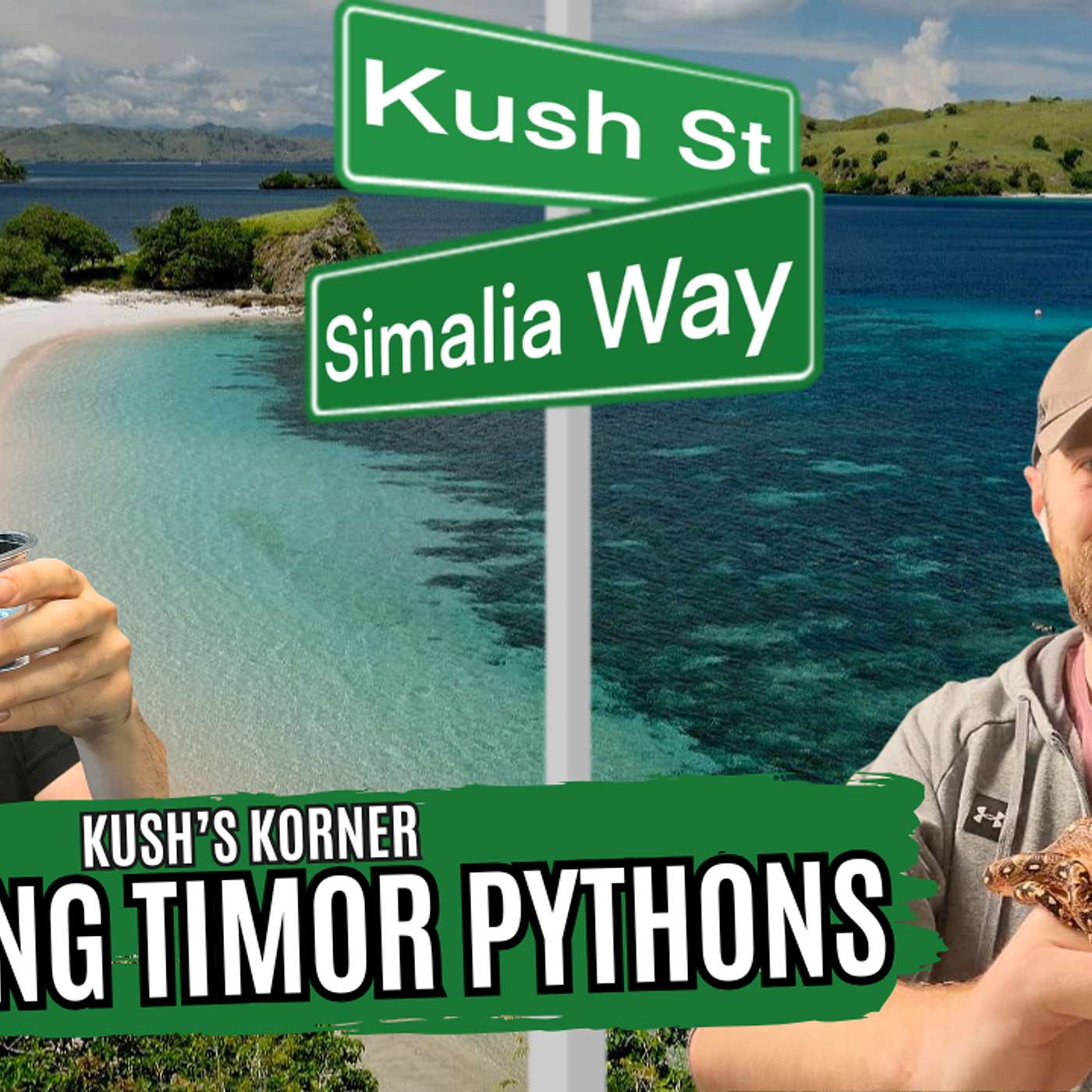 The Keys To Breeding Timor Pythons | Kush's Korner Live episode artwork
