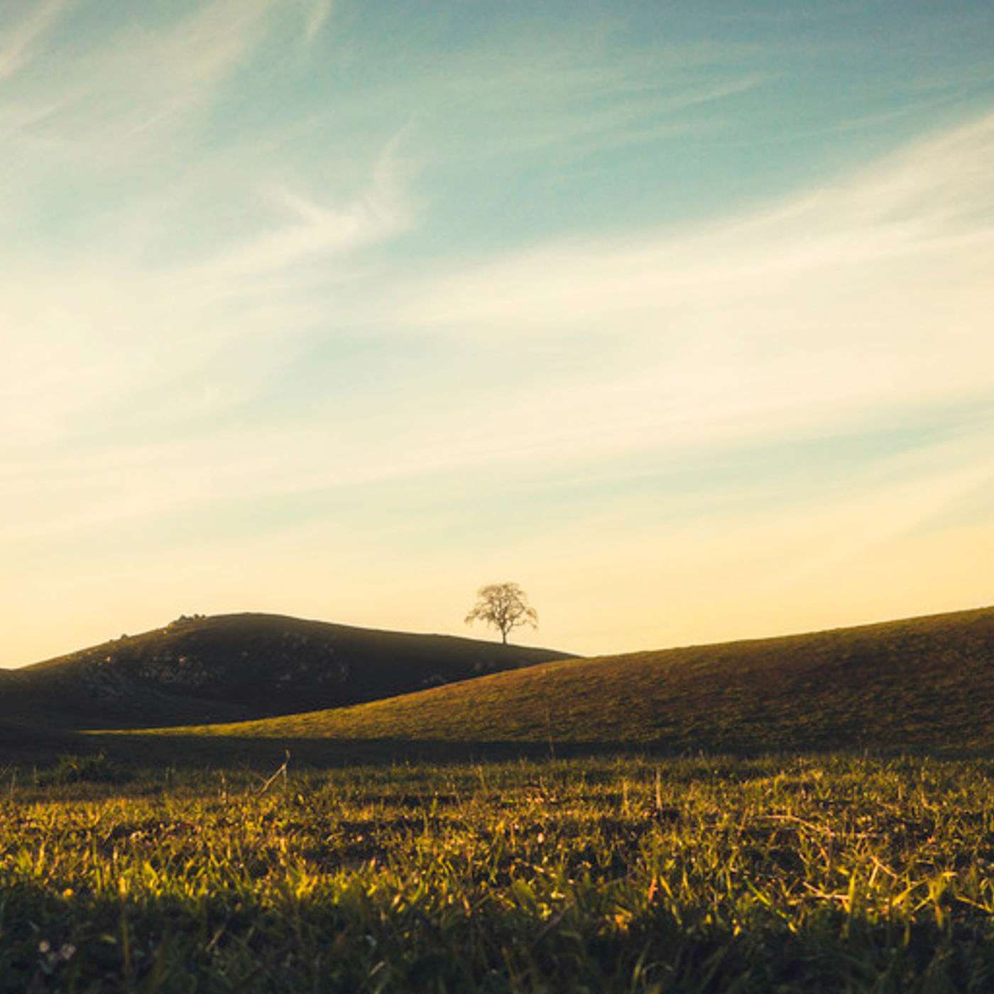 Beatitudes - The Peacemakers (Part 2)